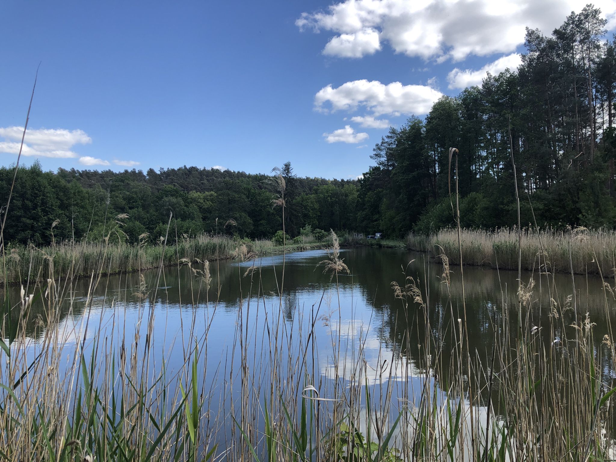 alter Fischteich