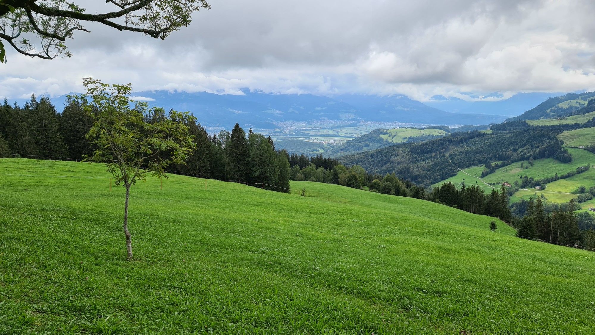 Blick ins Rheintal