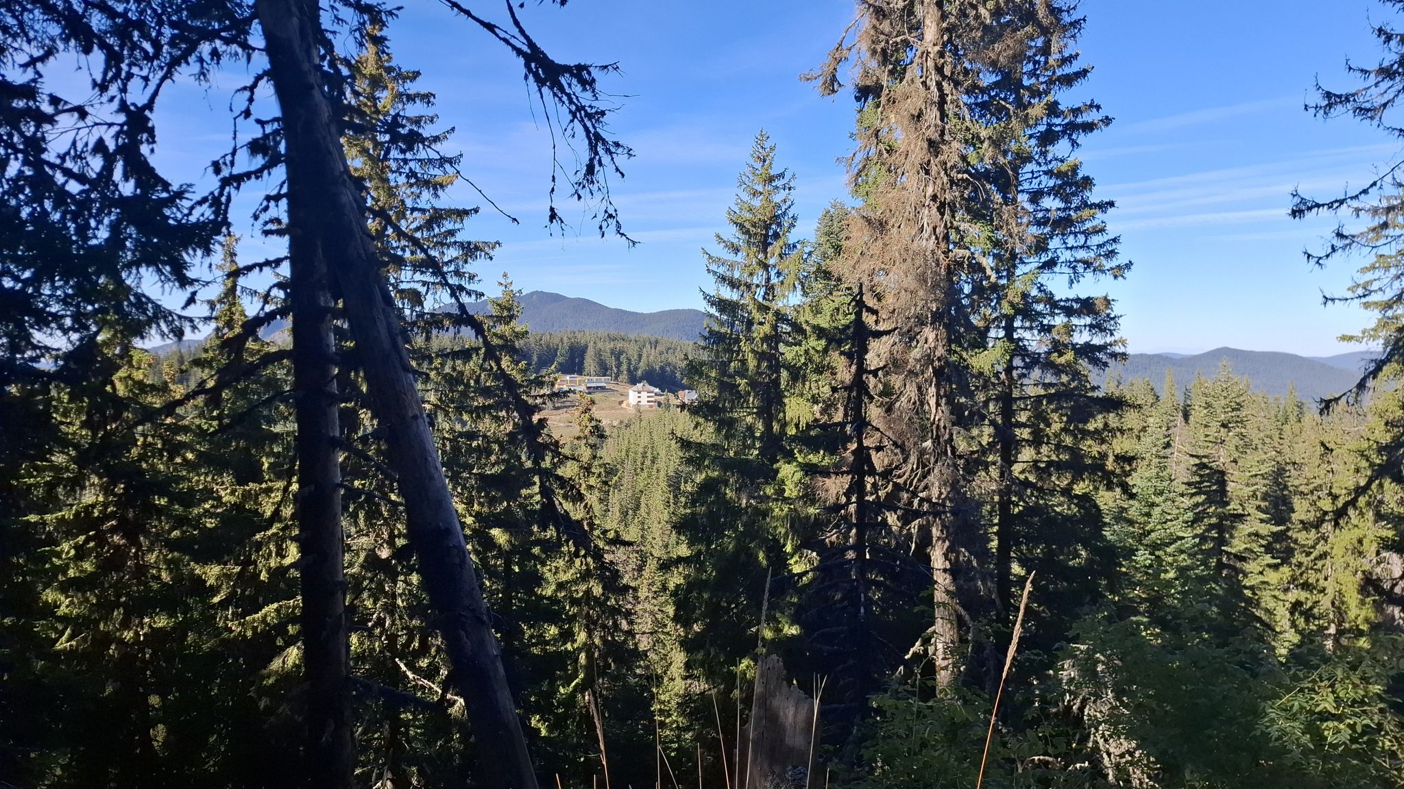 х. Персенк 