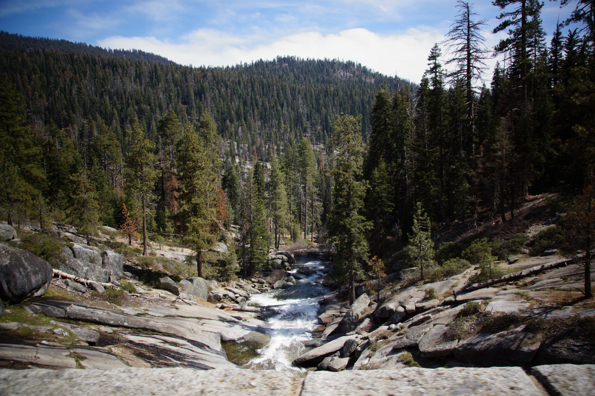 A river flows through a rocky, forested canyon under a partly cloudy sky. - Generals Highway Scenic Drive