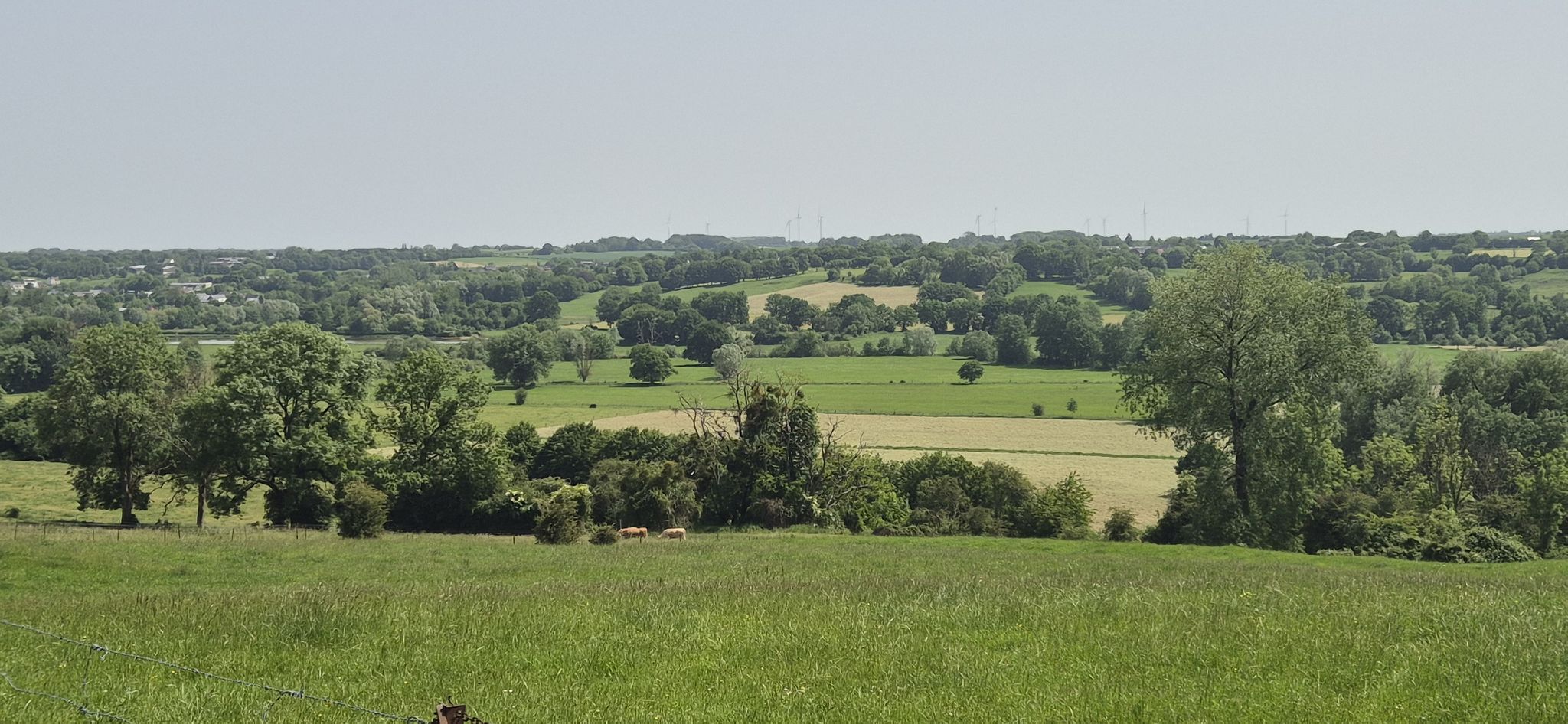 panorama