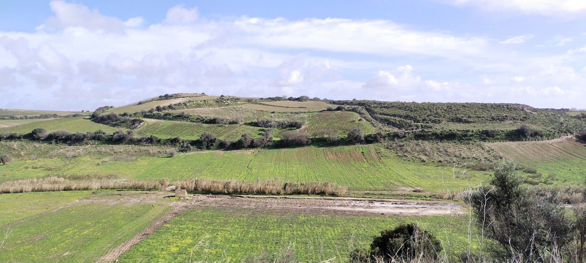 Paesaggio lungo la Strada Provinciale 50 Mazara-Salemi