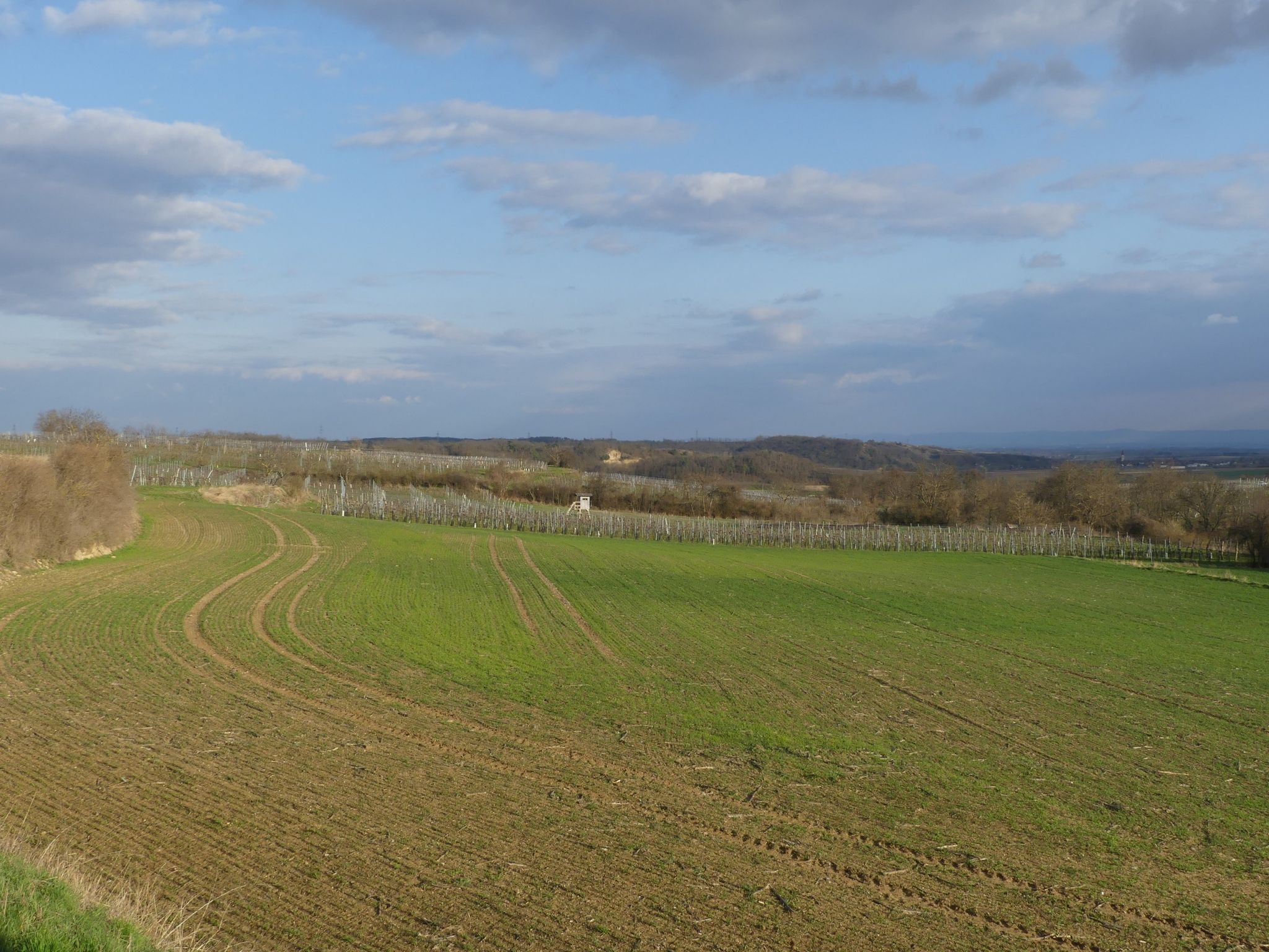 Typischer Landschaftscharakter des Schmidatales