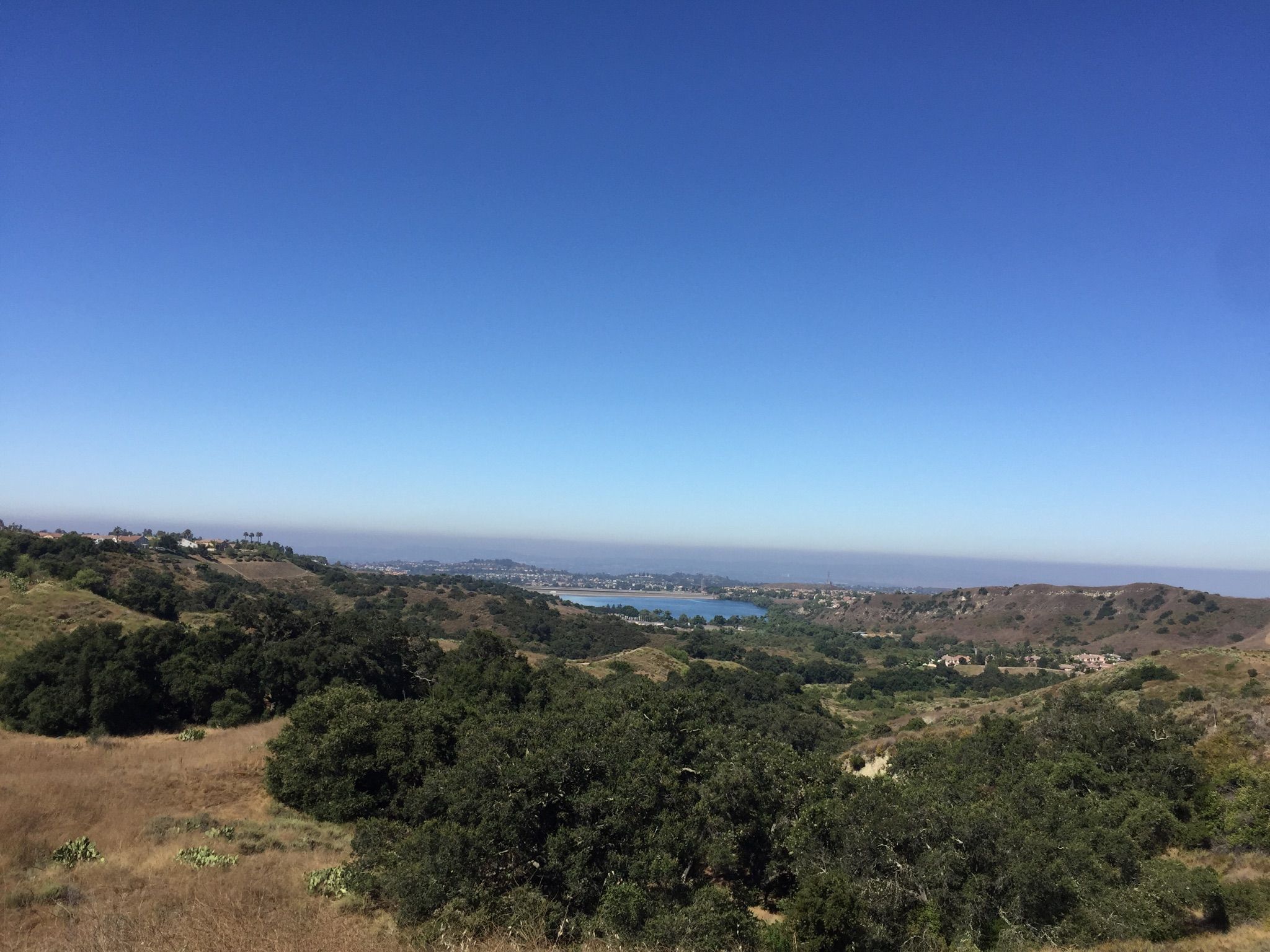 Expansive view of rolling hills, a distant lake, and hazy horizon under clear blue sky. - Live Oak Trail Loop