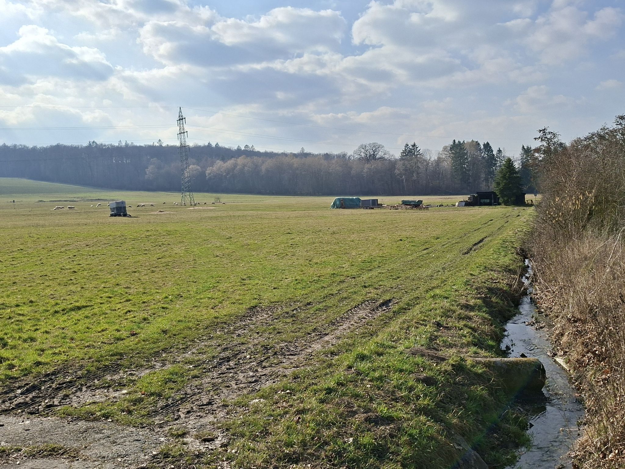 Schäfchenweide an der Laubach. 🐑🐑🐑