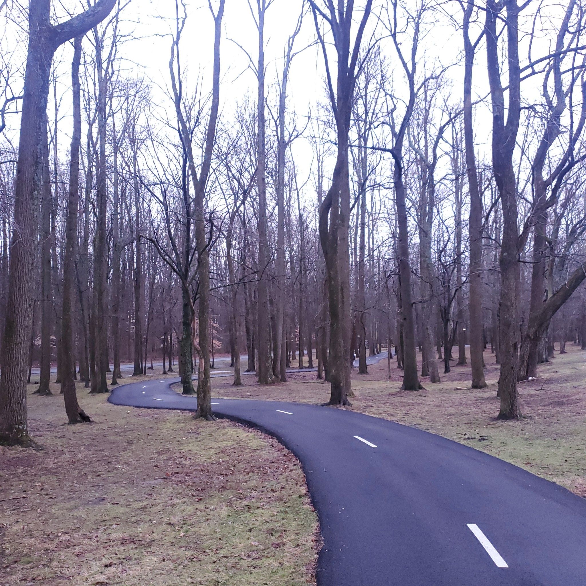Winding paved path through a bare winter forest under an overcast sky. - Watkins Regional Park loop from Mitchellville