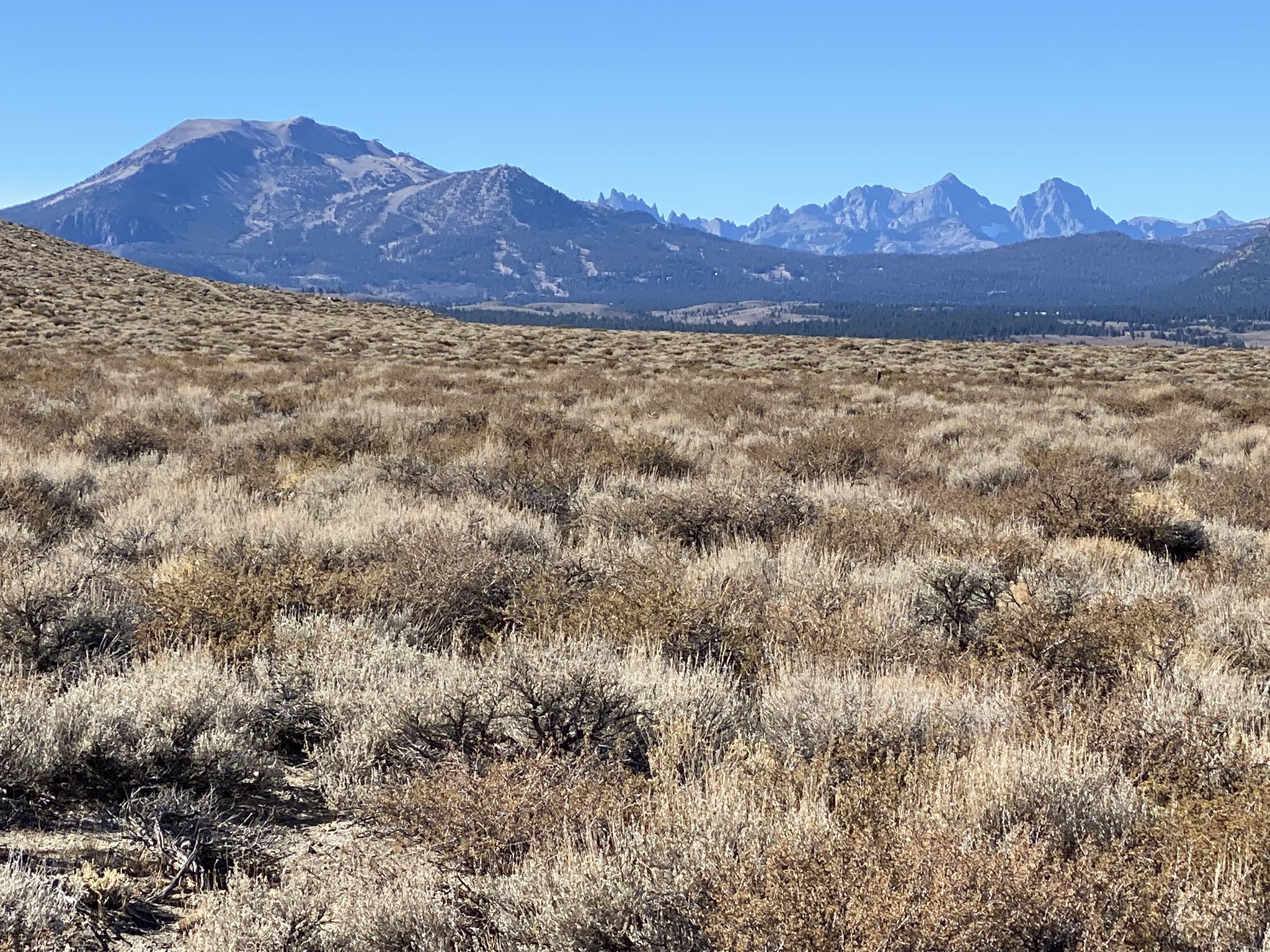 Expansive dry shrubland stretches towards rugged, distant mountains under a clear sky. - Mammoth Lakes, California to Convict Lake