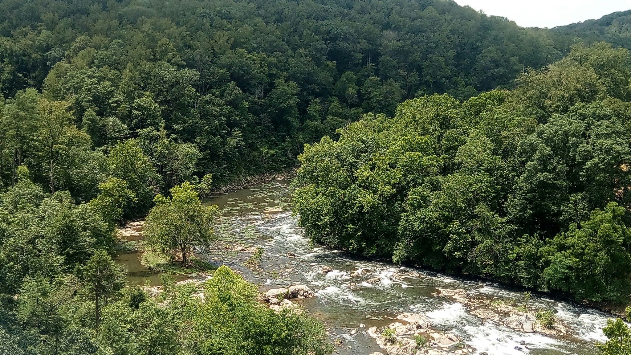 A winding river with rapids flows through a dense green forest. - Roanoke River Overlook to Mills Gap Overlook