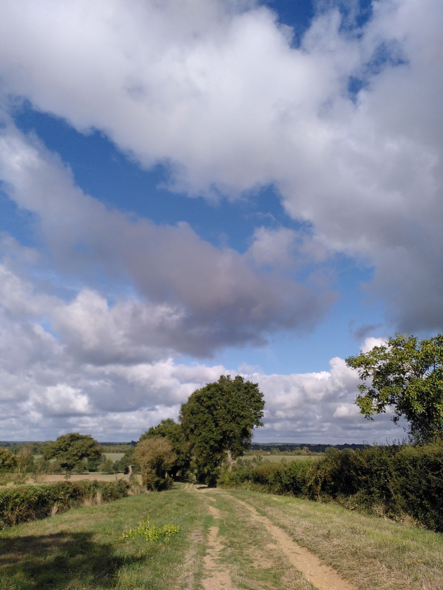 chemin