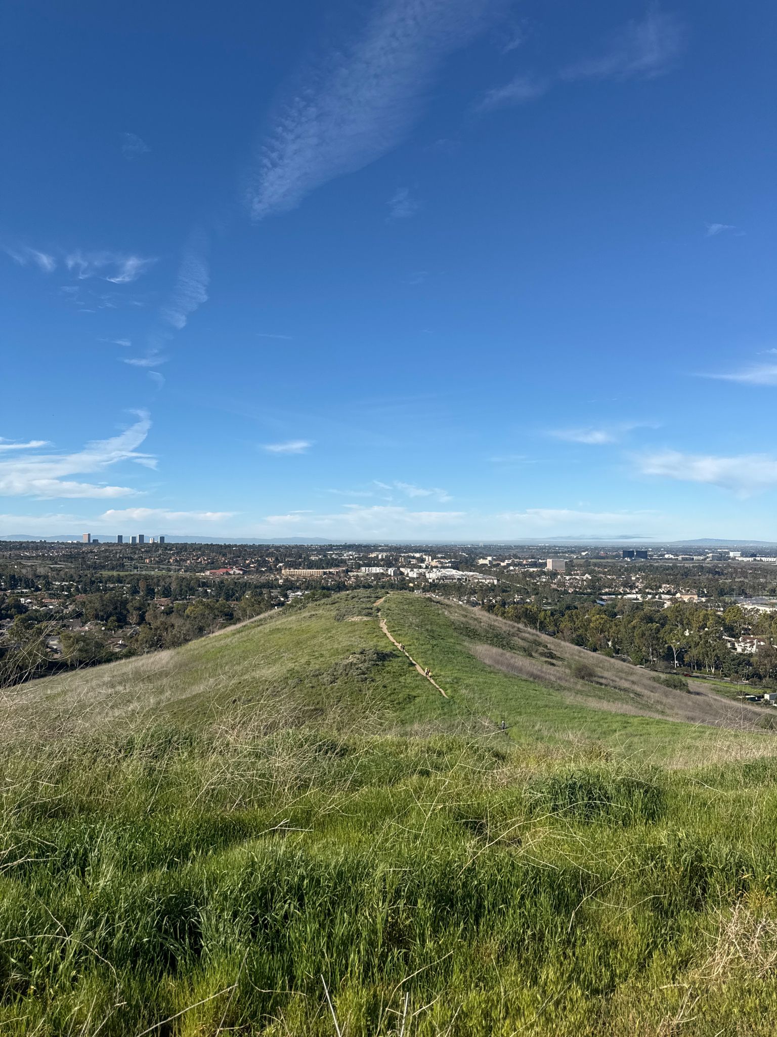 Grassy hill with a winding path overlooking a distant city on a sunny day. - French Hill