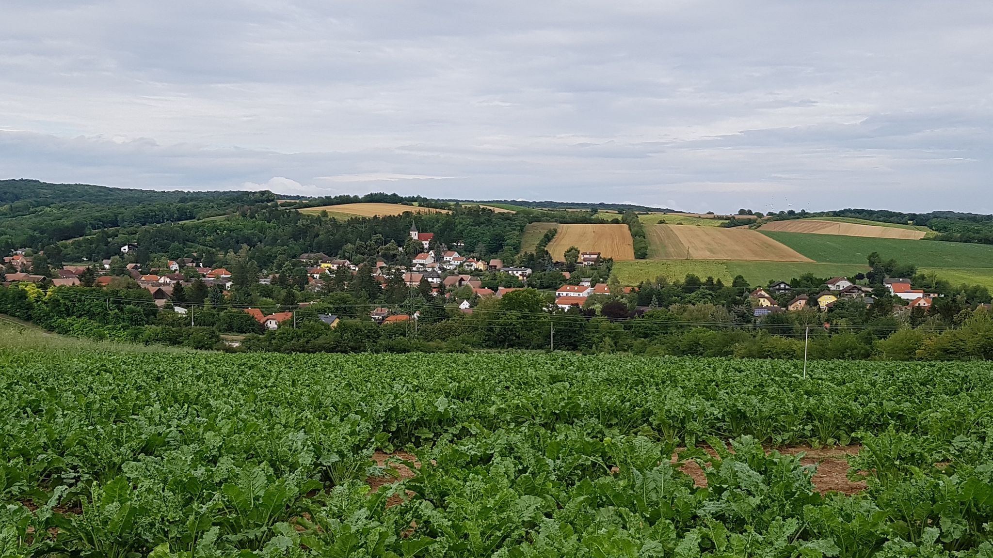 Schönster Aussichtspunkt für Blick über Hörersdorf
