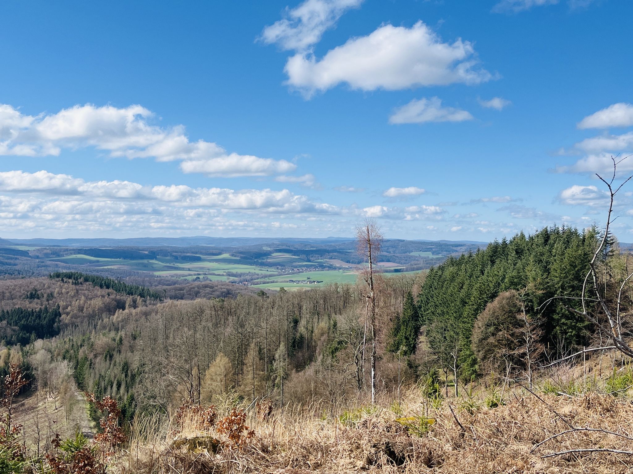 Blick südwärts vom Höhenweg unterhalb des Eisberg zur Rhön