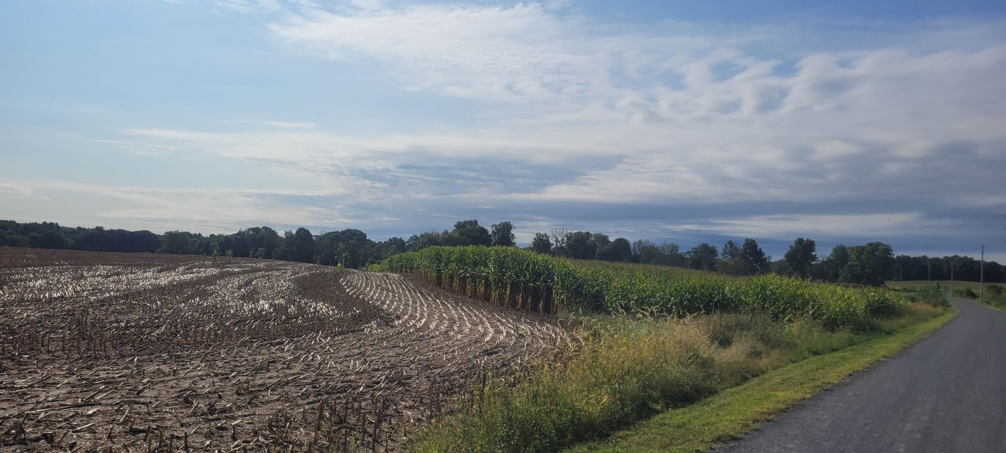 Tilled and corn fields under a partly cloudy sky. - Albany-Hudson Electric Trail