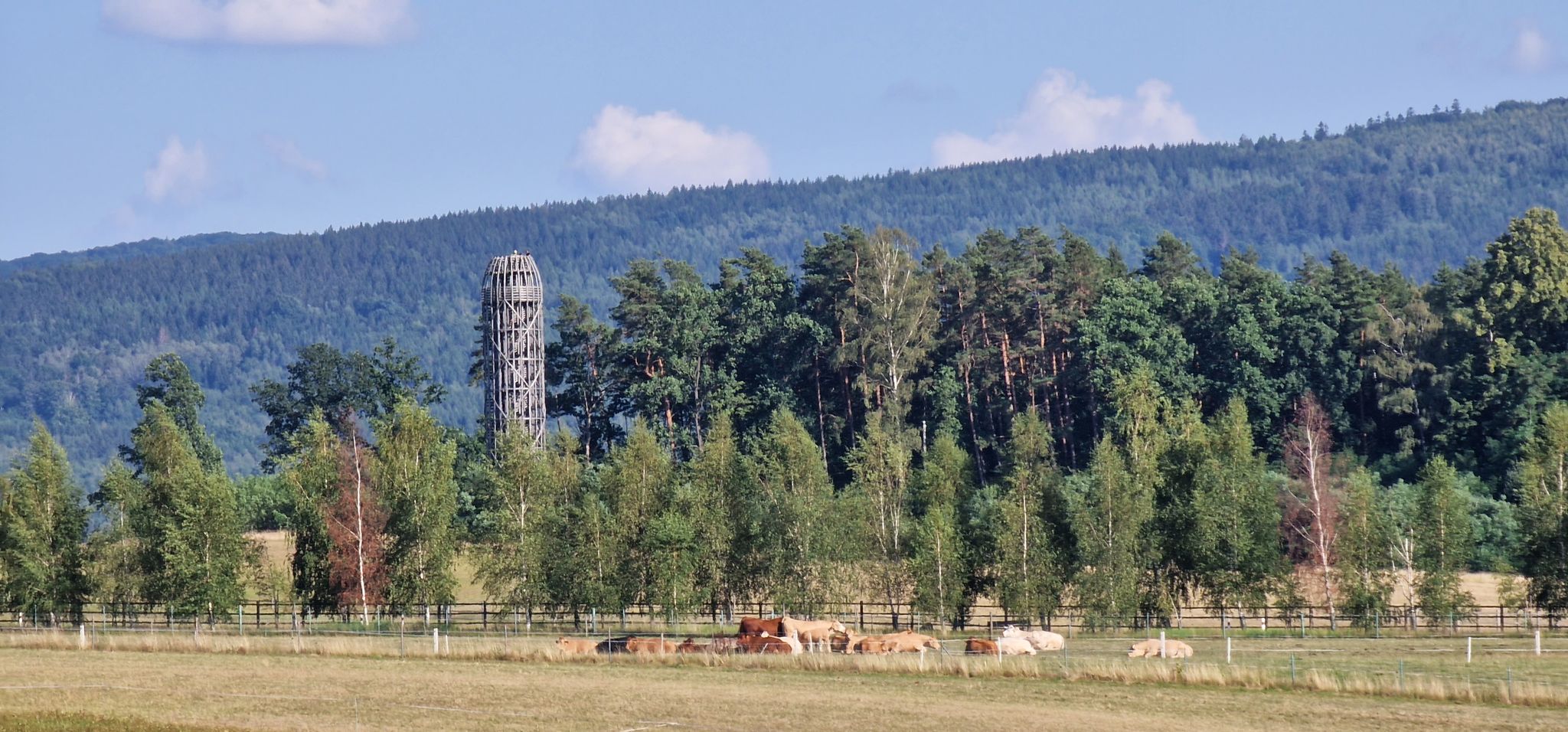 Rozhledna Heřmanice