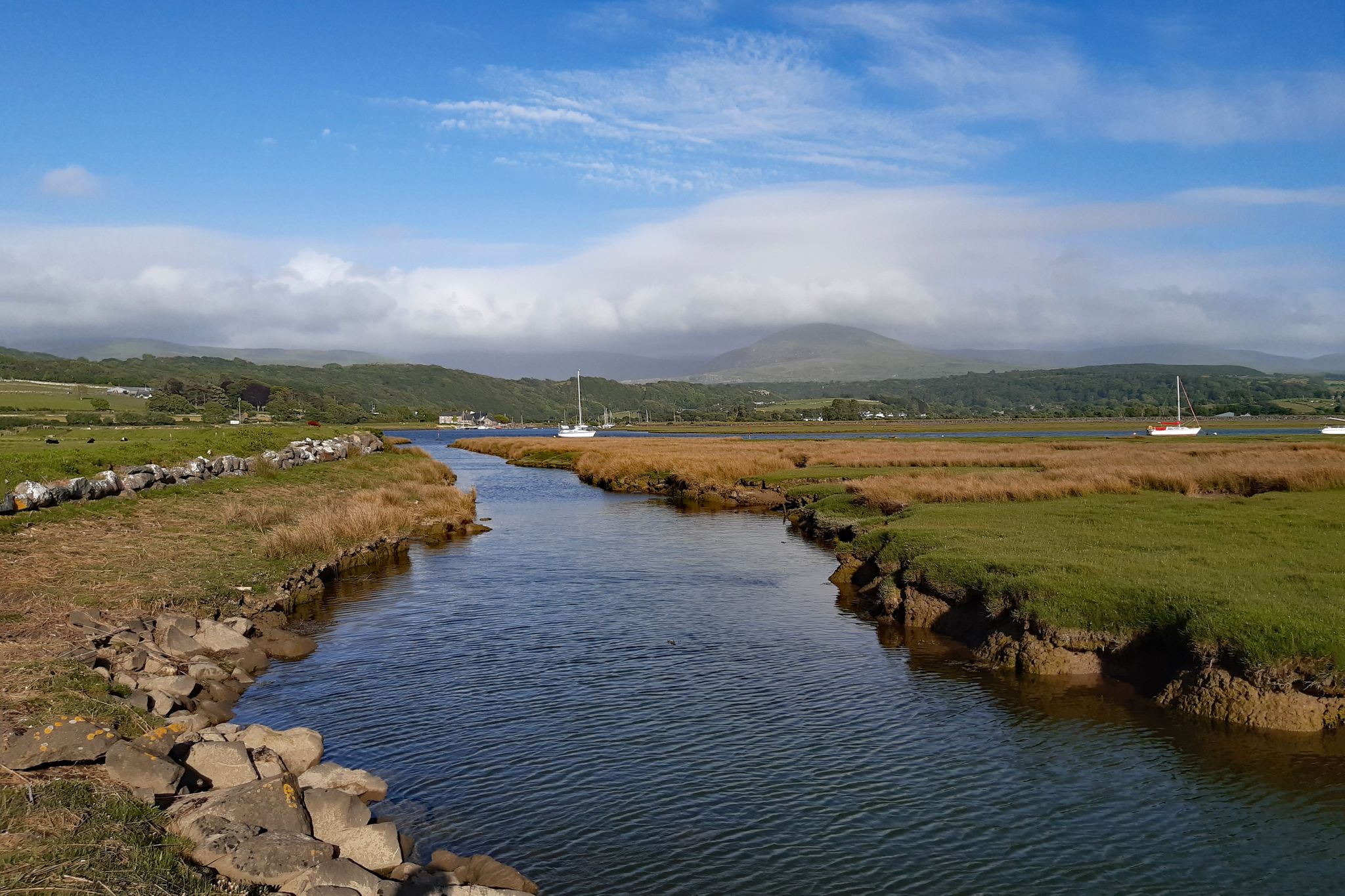 Artro Estuary
