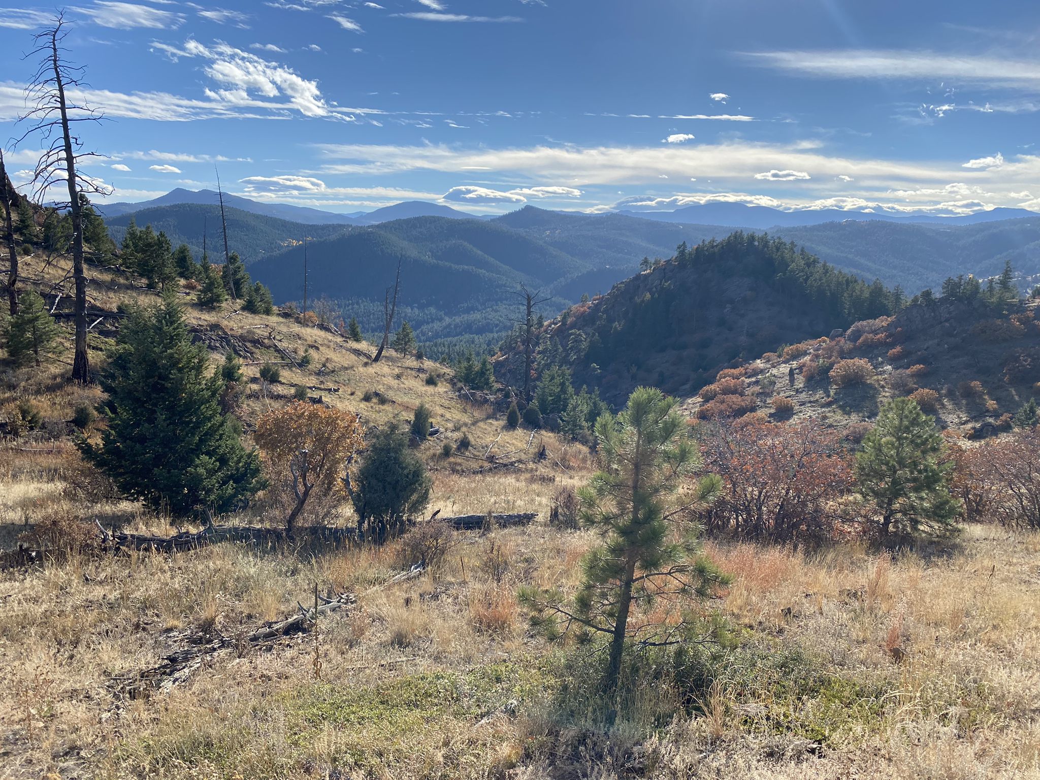 Vast mountain landscape with forested hills and distant peaks under a cloudy sky. - Castle Trail loop — Mount Falcon Park