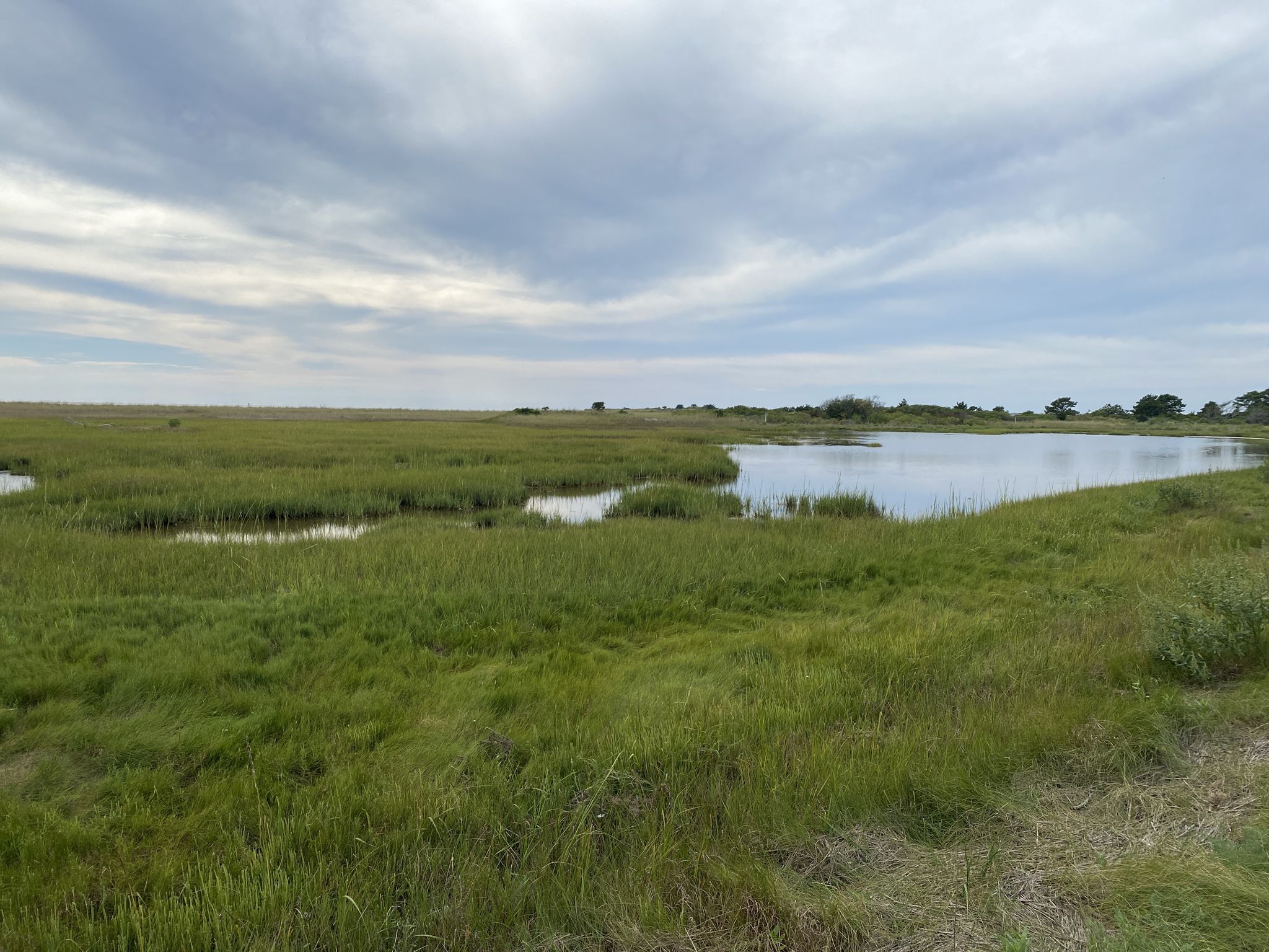 Wide marshland with calm water reflecting an overcast sky. - Chatham Light Beach – Downtown Chatham loop from Chatham