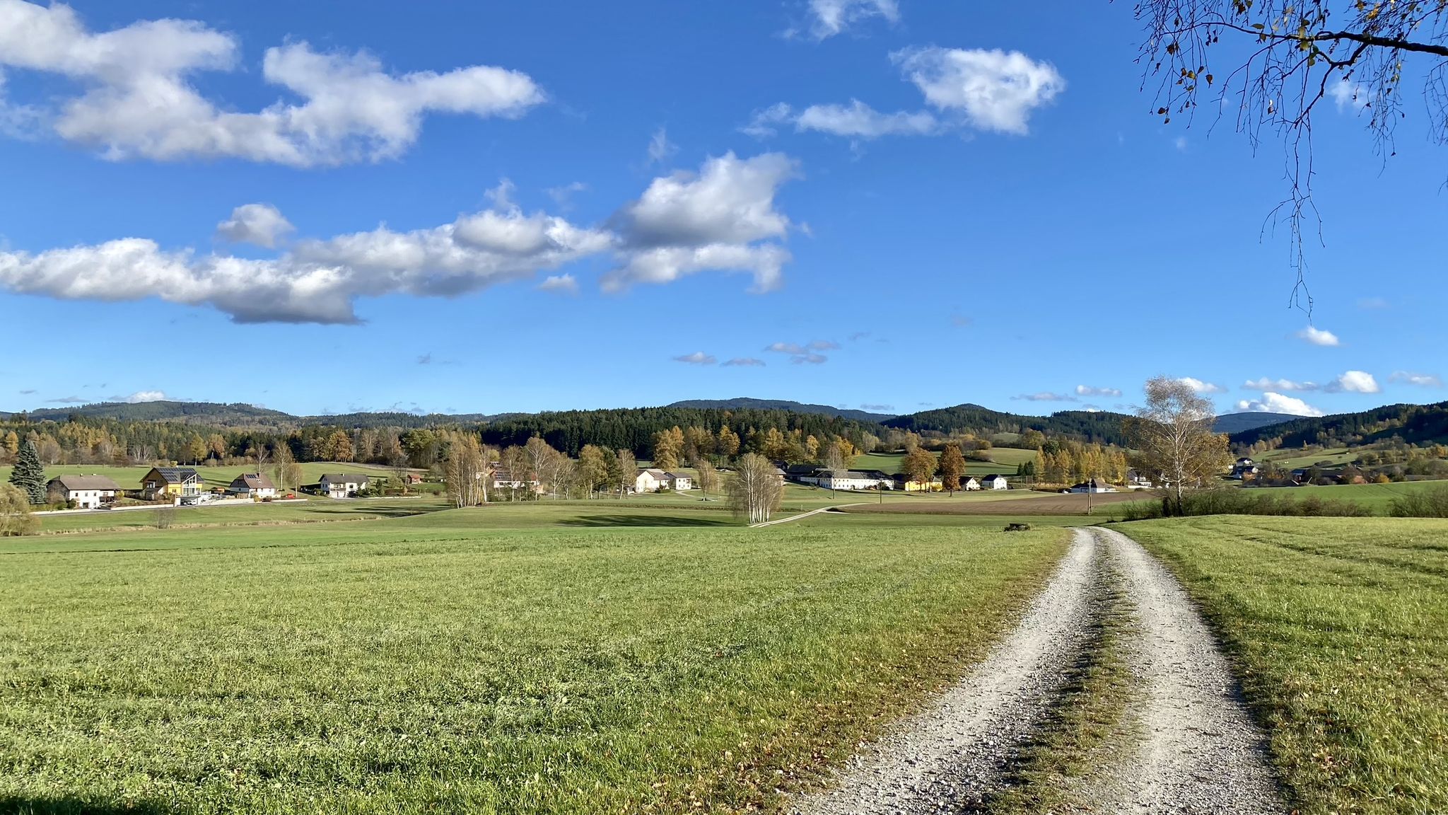 Mardetschlag