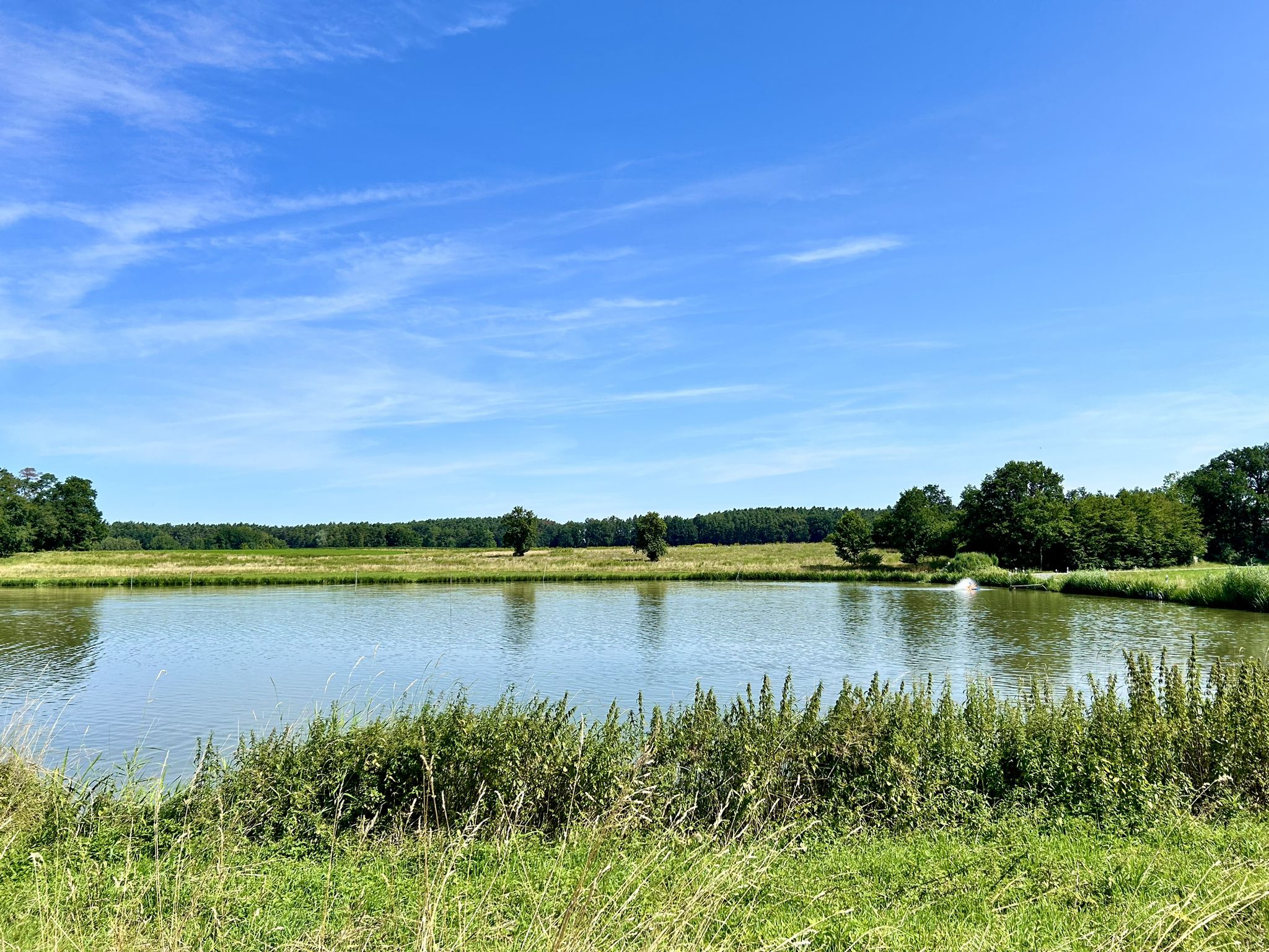 Weiher bei Poppenwind