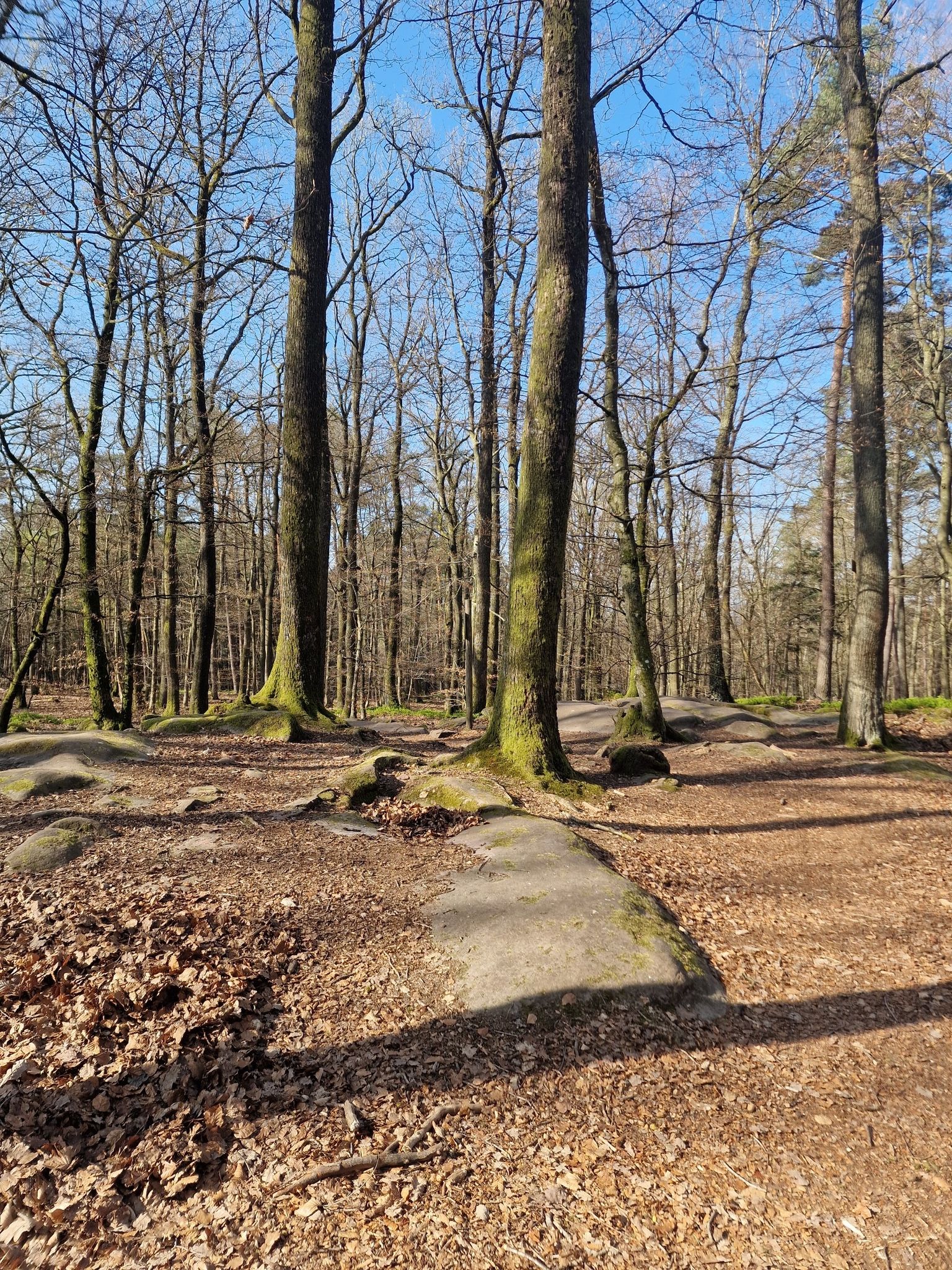 Reisberg
