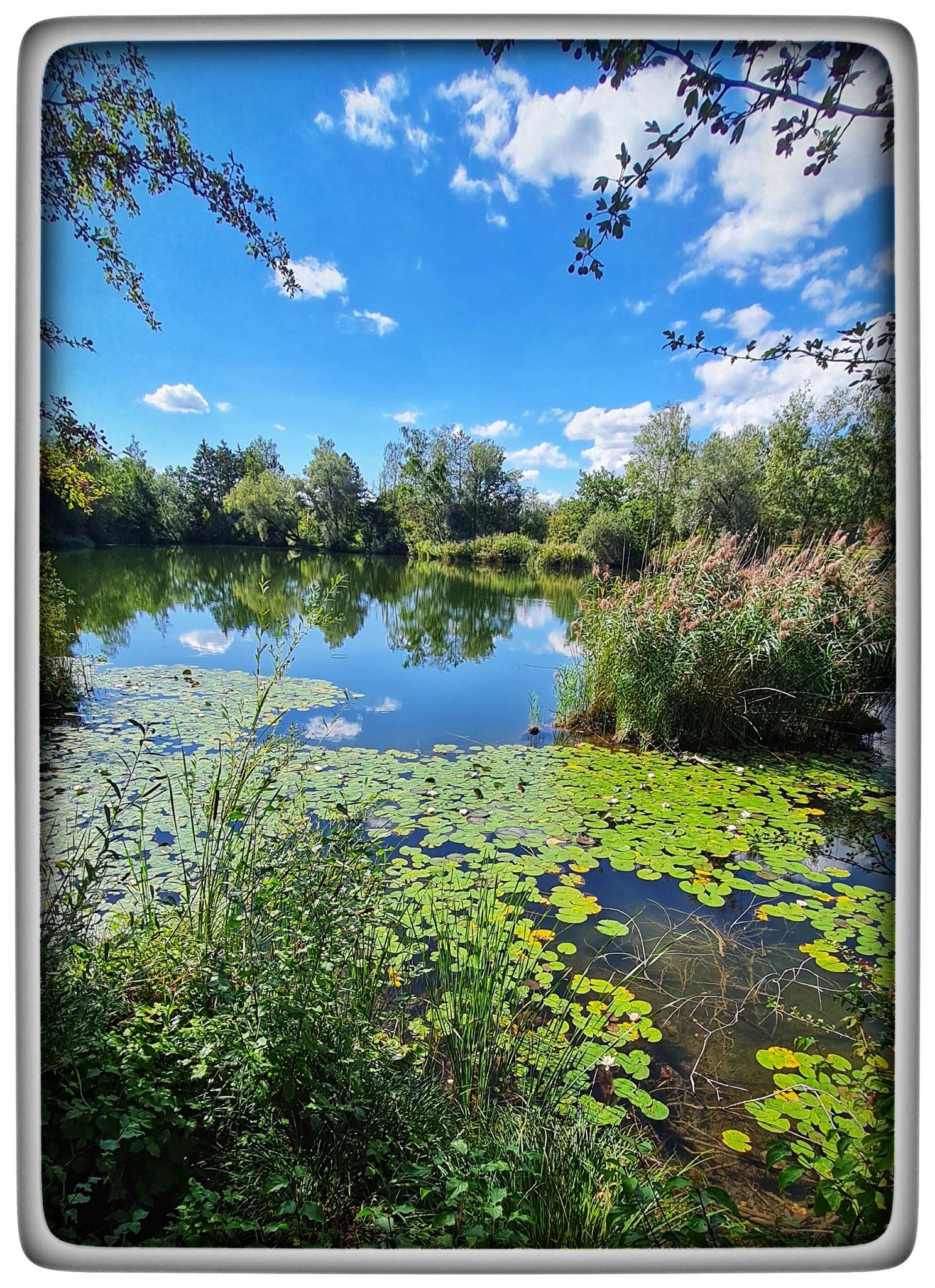 zu einem der vielen WEIHER