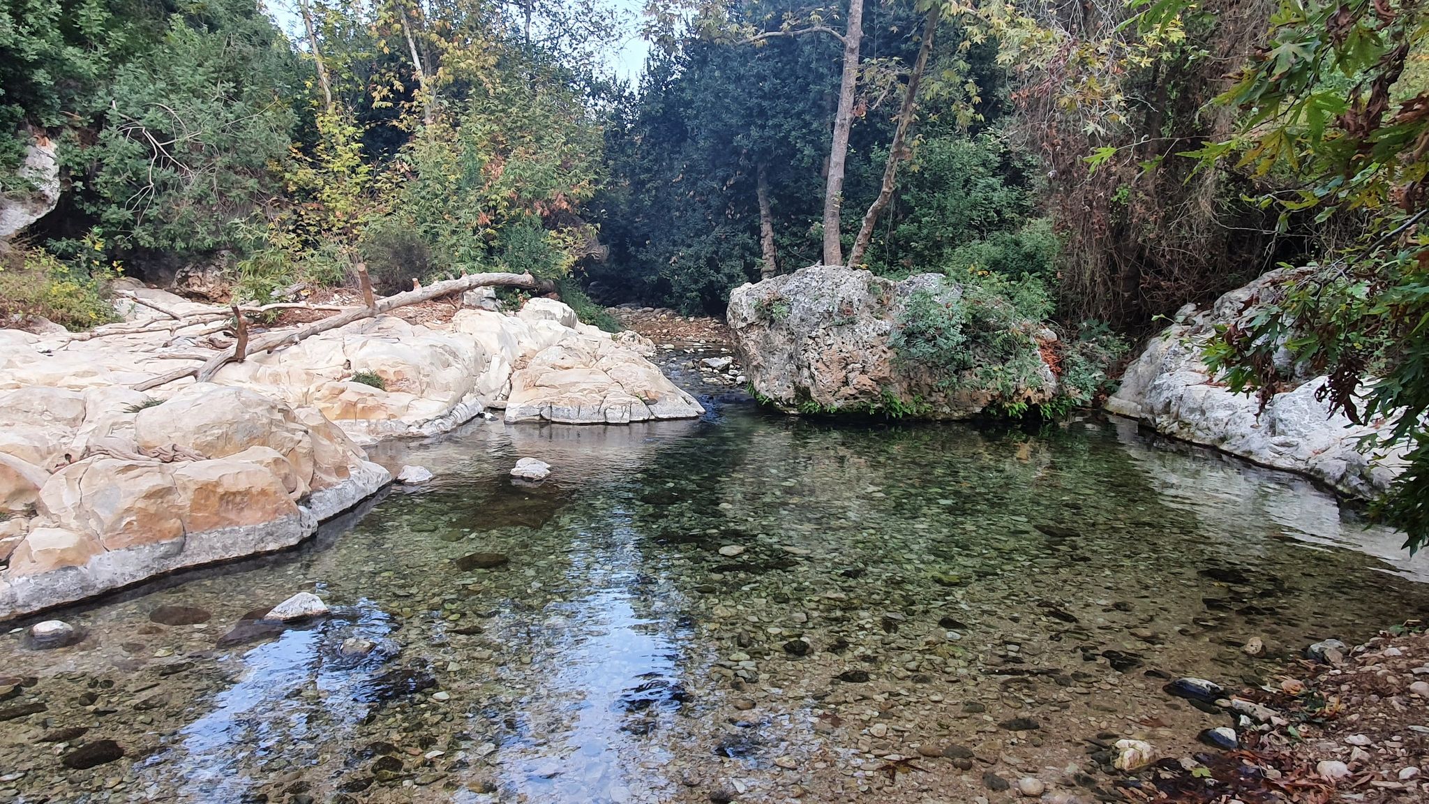 Im wasserführenden Tal (Nahal Achziv)
