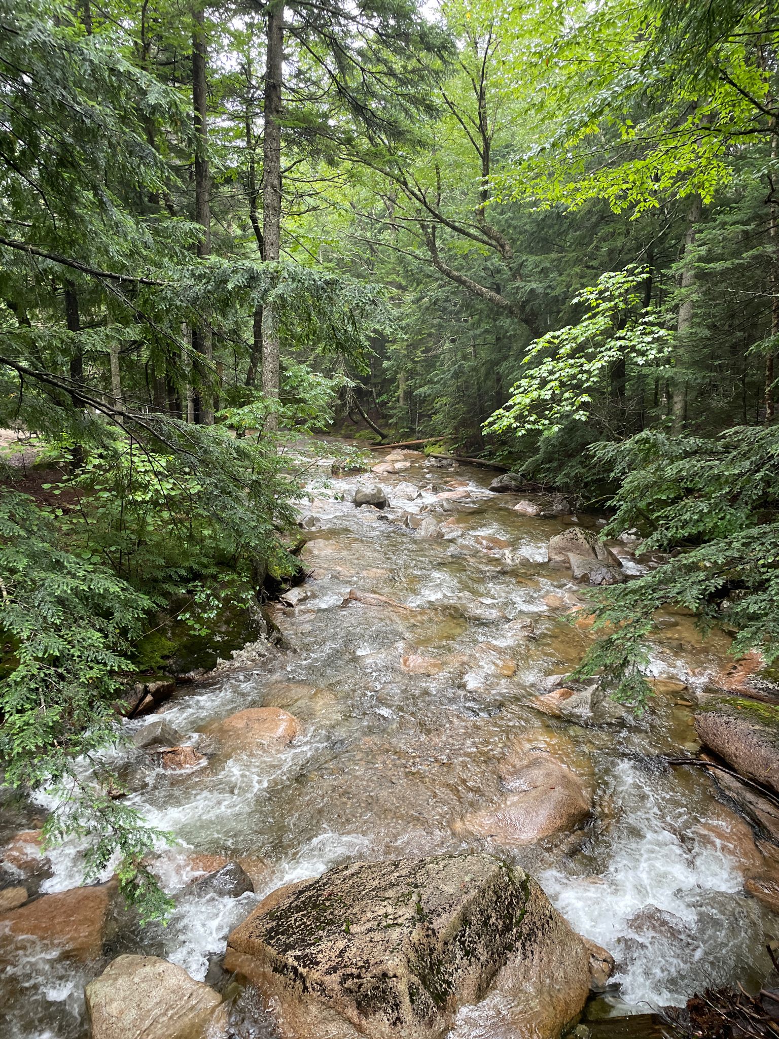 A rocky stream flows through a vibrant green, dense forest. - The Basin (Pemigewasset River) – Franconia Notch Bike Trail loop from Lincoln