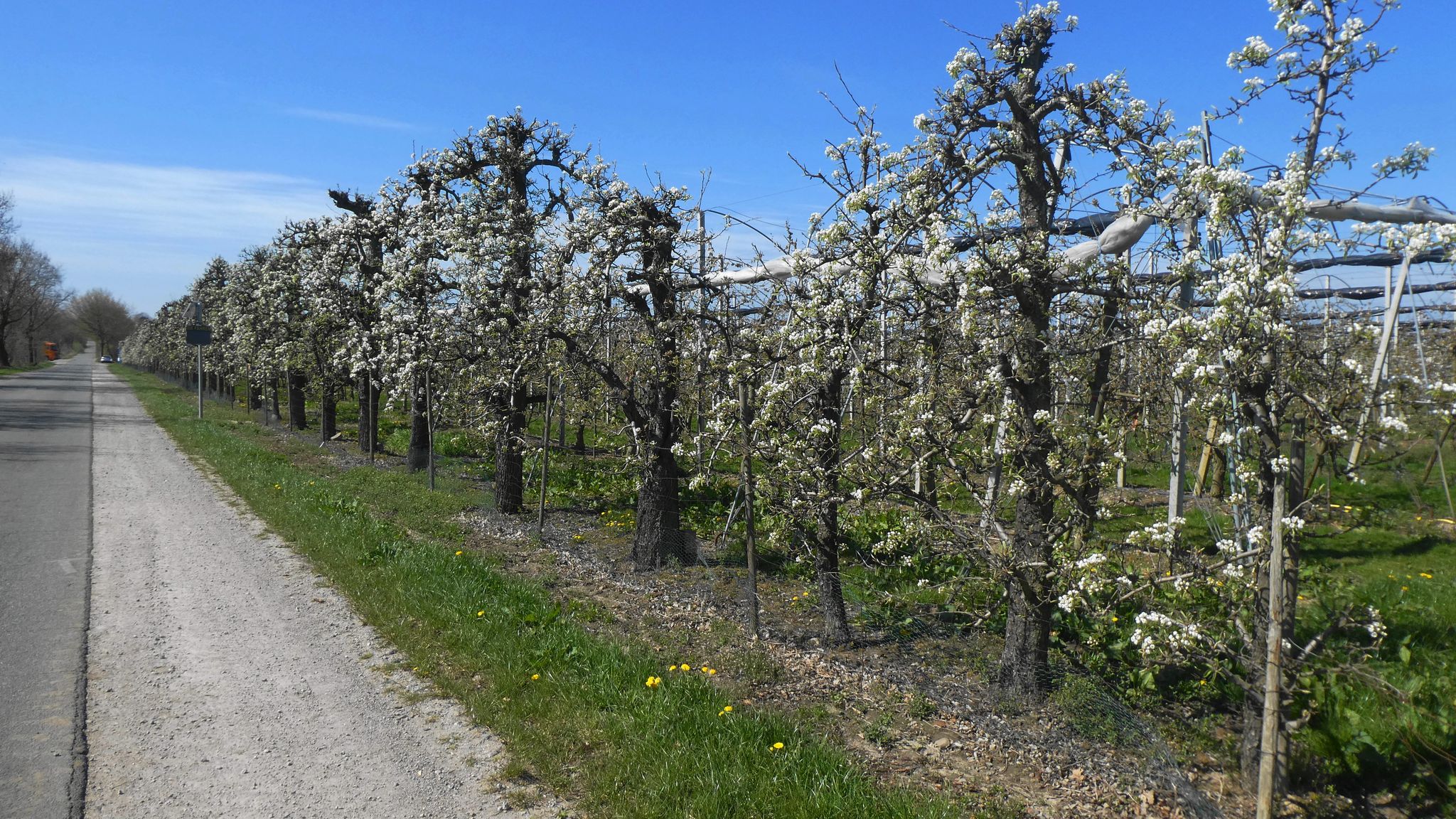 Weg nach Nottensdorf