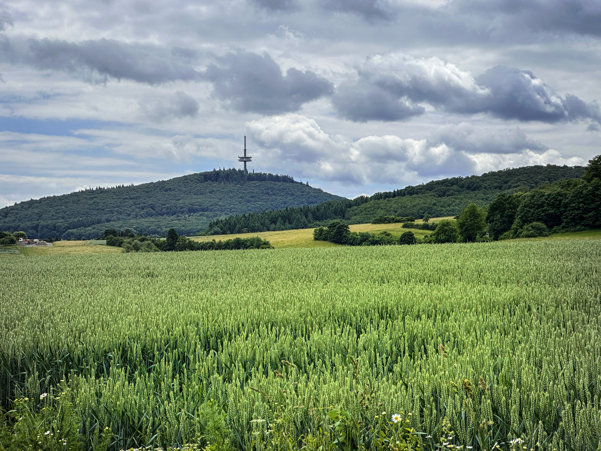 Dünsi im Blick - keine Option heute