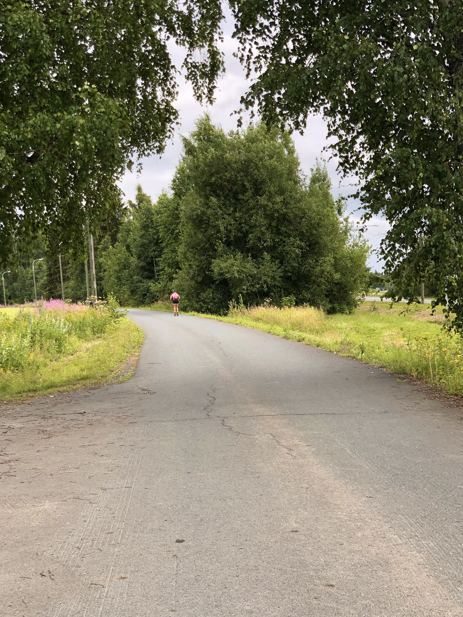 Trainieren Viele für Langlauf (wollte sie nicht von vorn fotografieren)