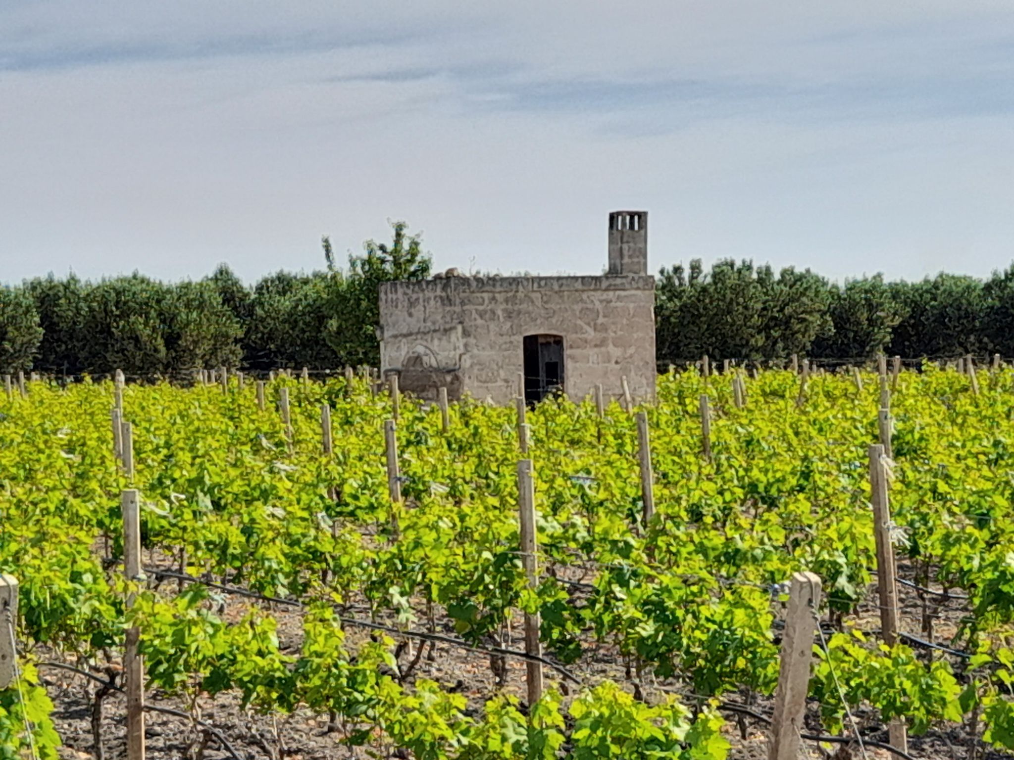 casodda (esempio di architettura rurale)