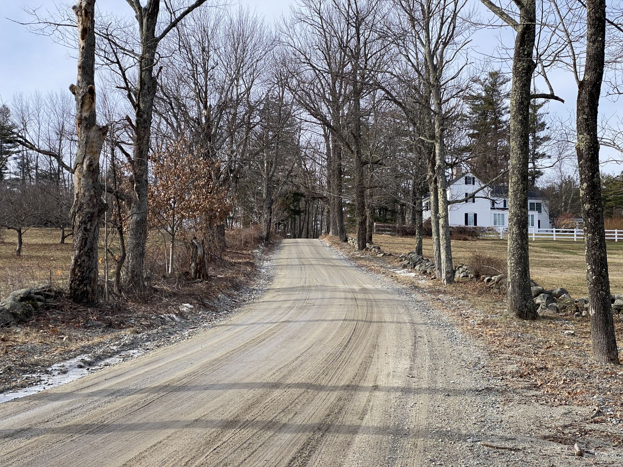 A long dirt road lined with bare trees leads to a white house. - Greenfield state park to Wapack National Wildlife Refuge loop