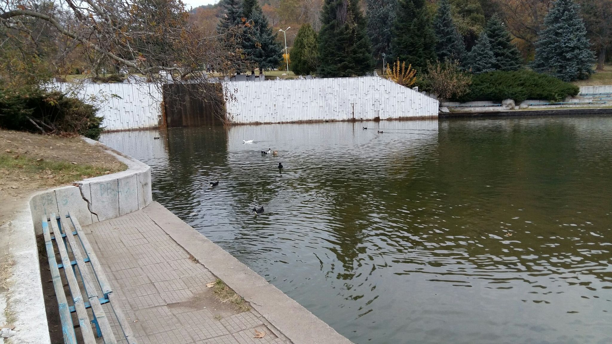 Parkgewässer