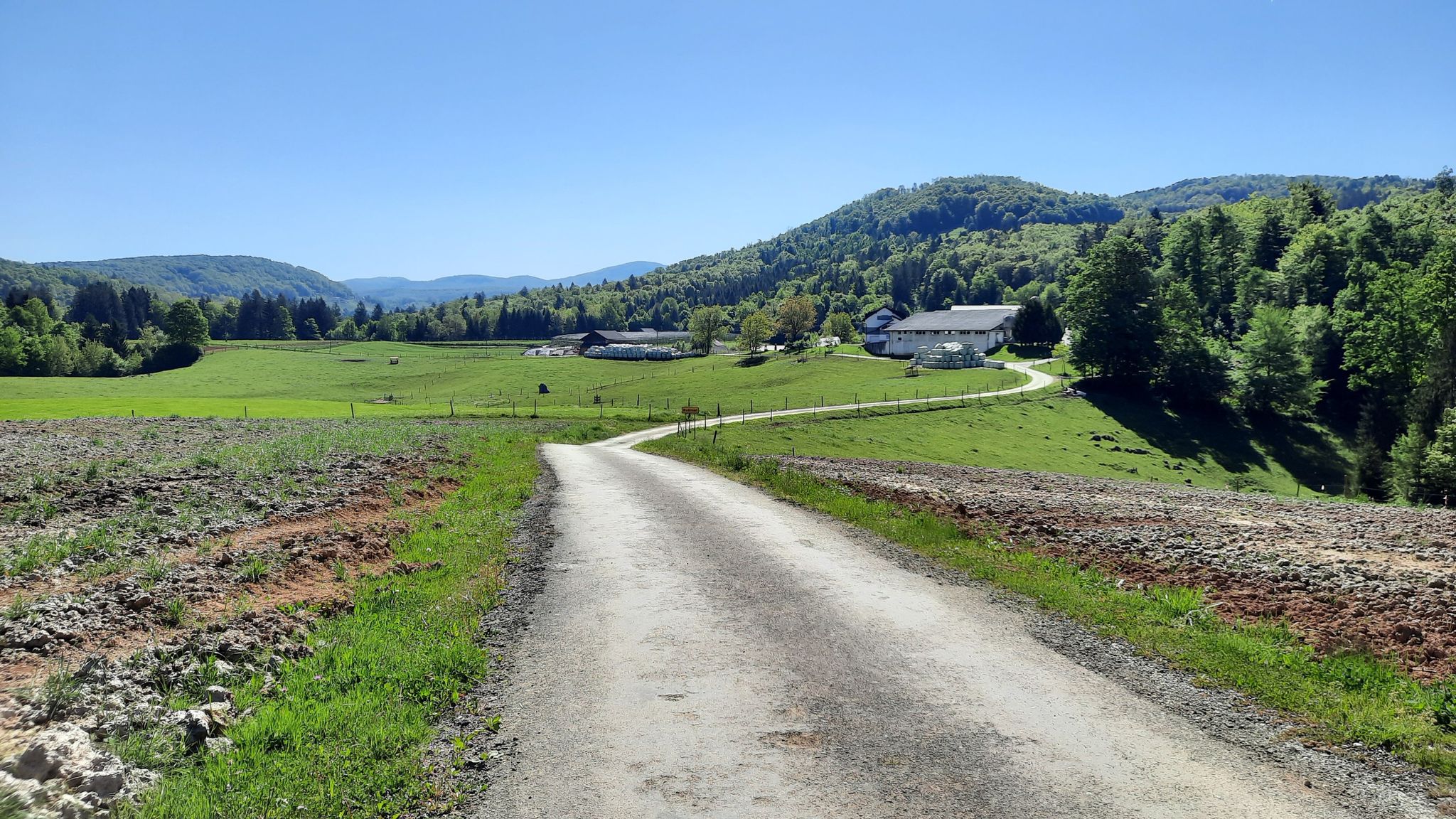 Bušinec
