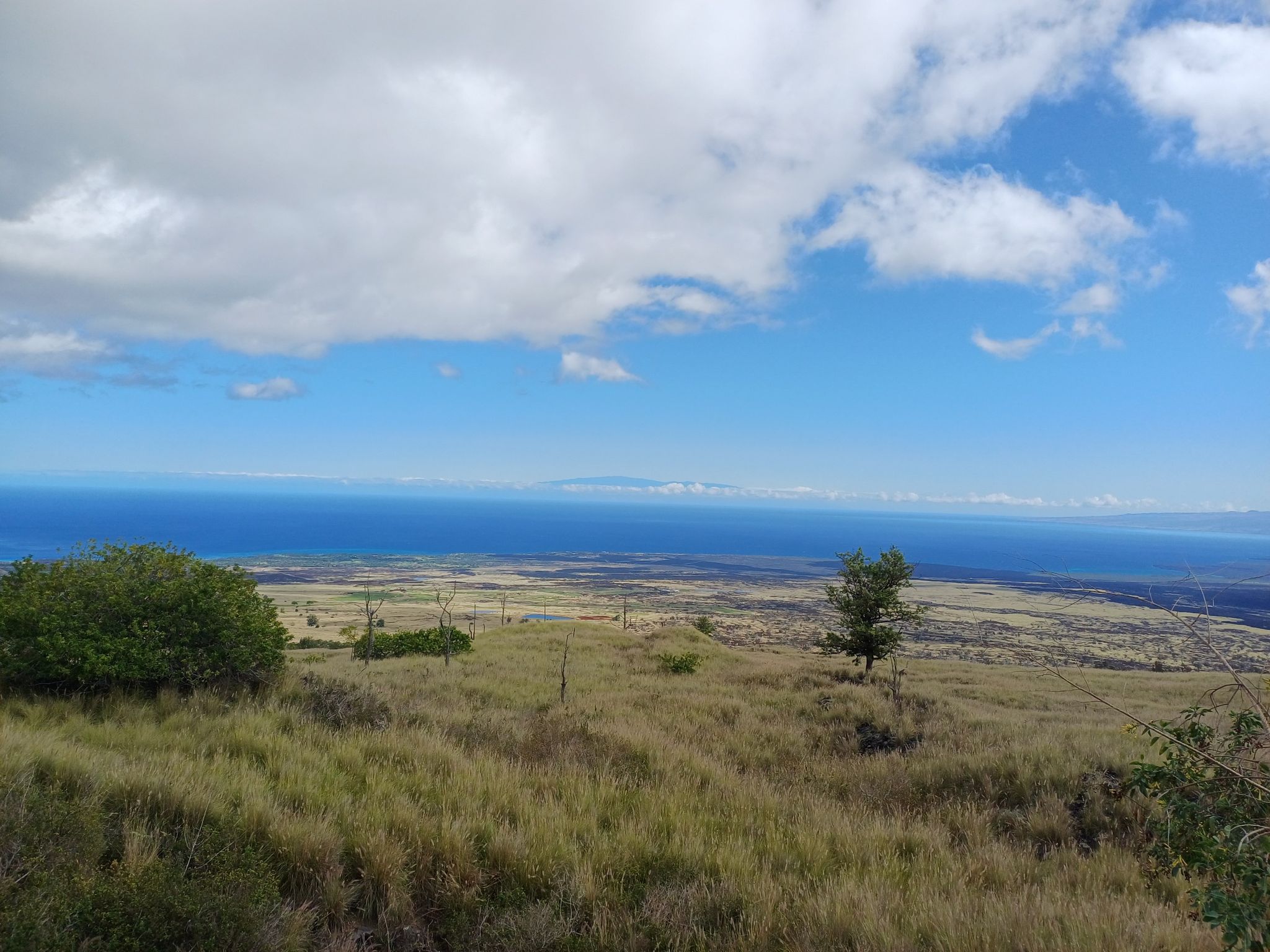 Vast grassy landscape overlooking a distant blue ocean under a cloudy sky. - Kaauau Point to Kailua Kona loop