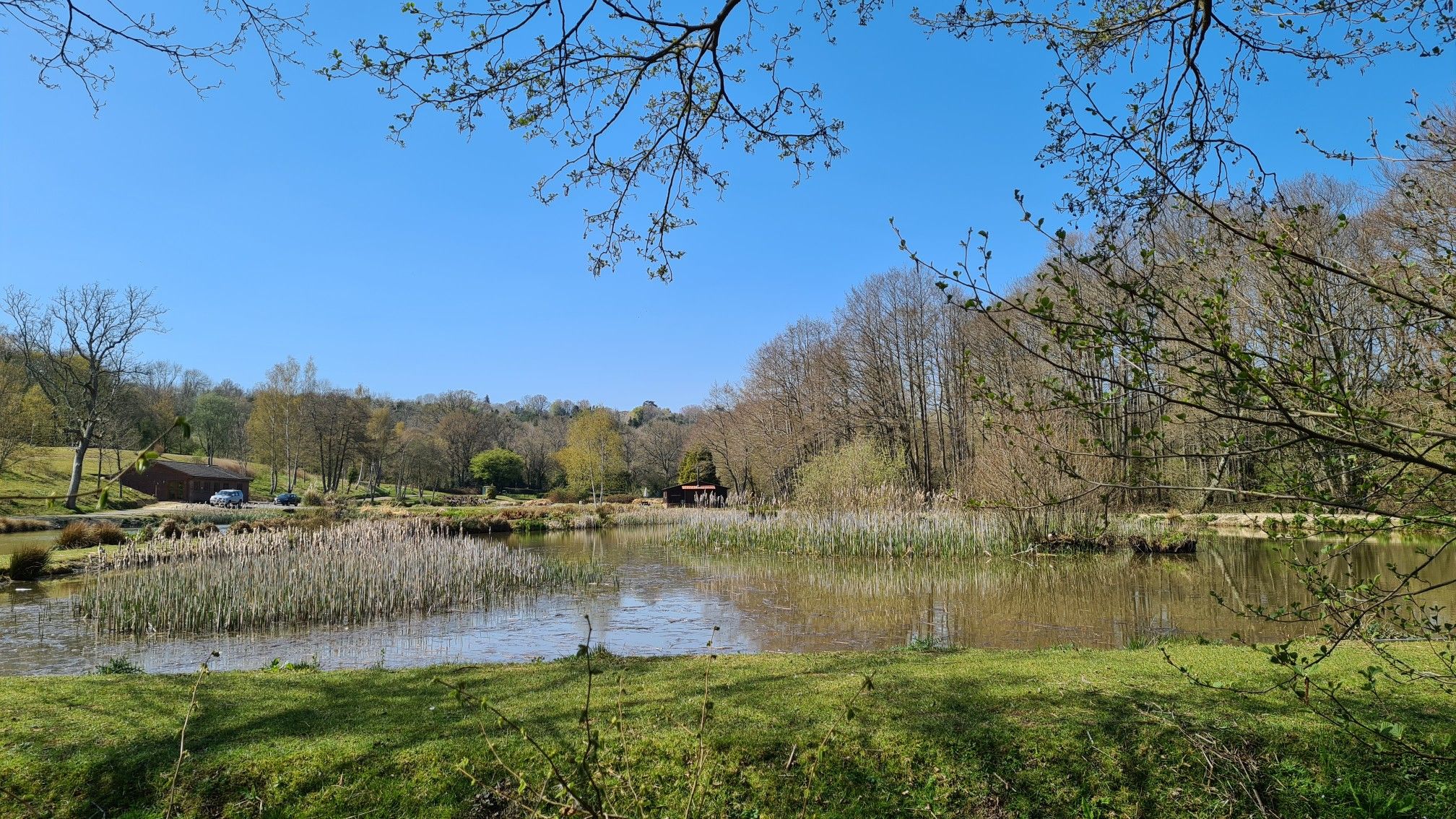 Frogmore Fishing Lake