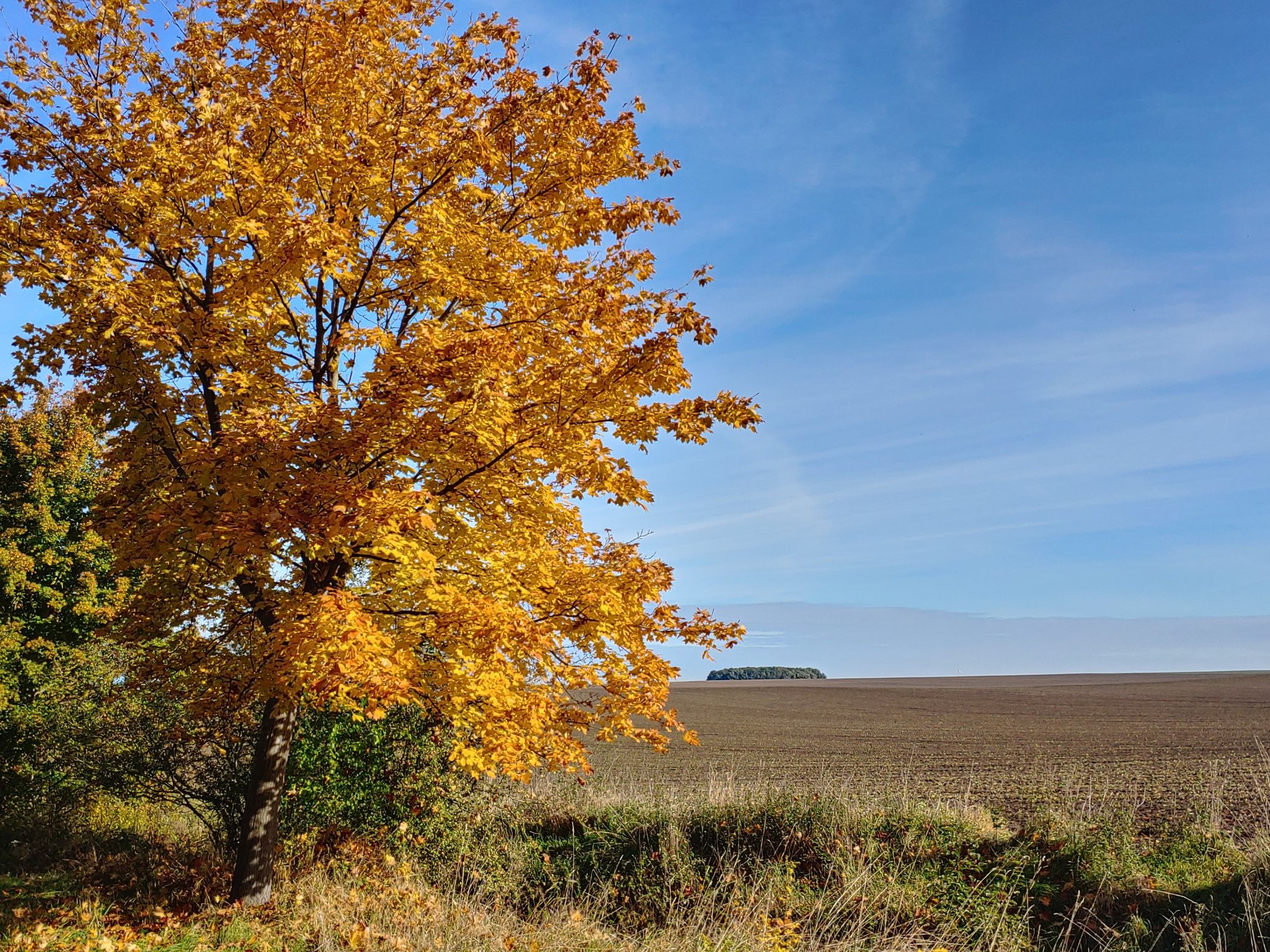 Der Herbst mit Baalberg