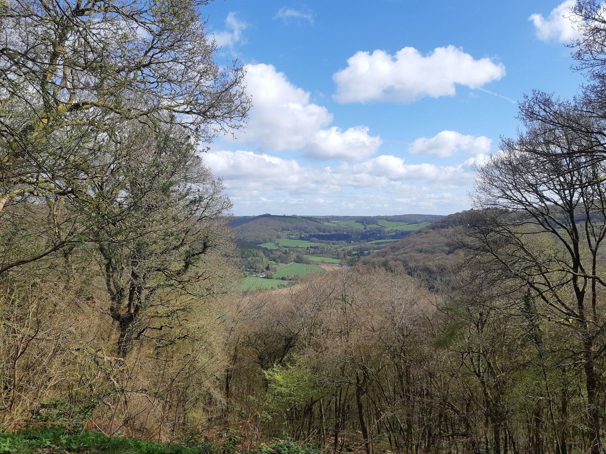 Wye Valley view