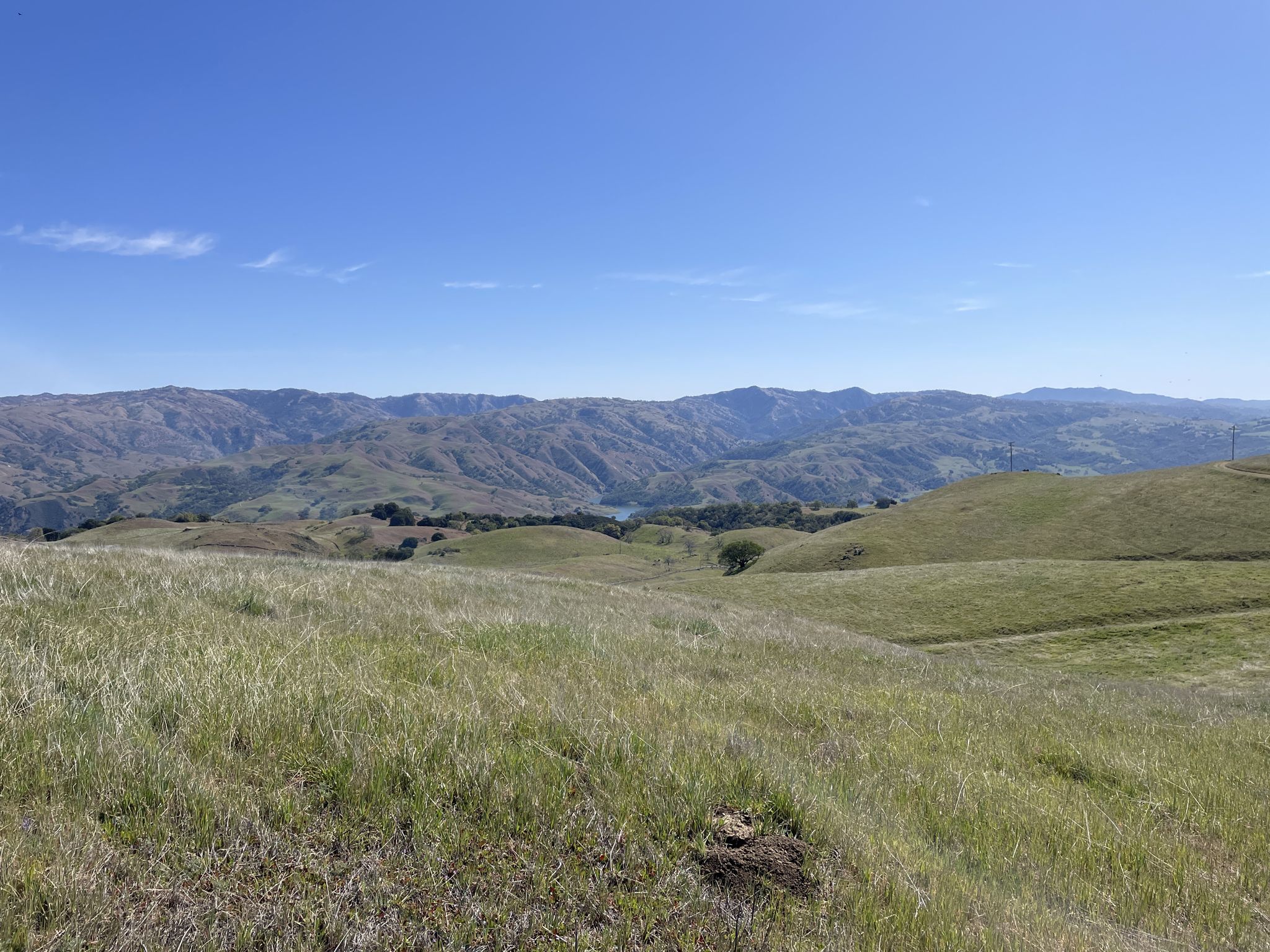 Expansive green and brown hills stretch under a bright blue sky. - Mission Peak and Monument Peak Loop