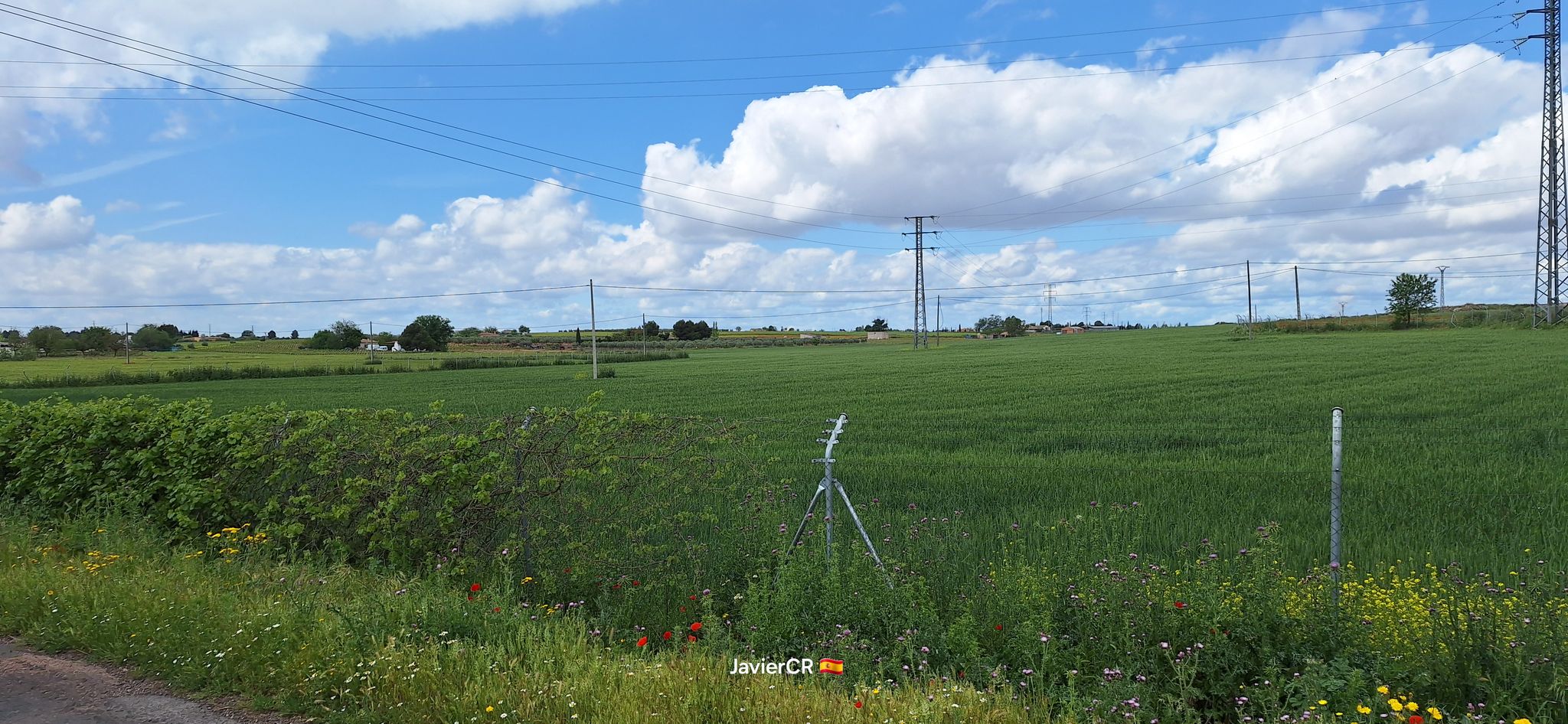 ⛔ Camini a casas particulares