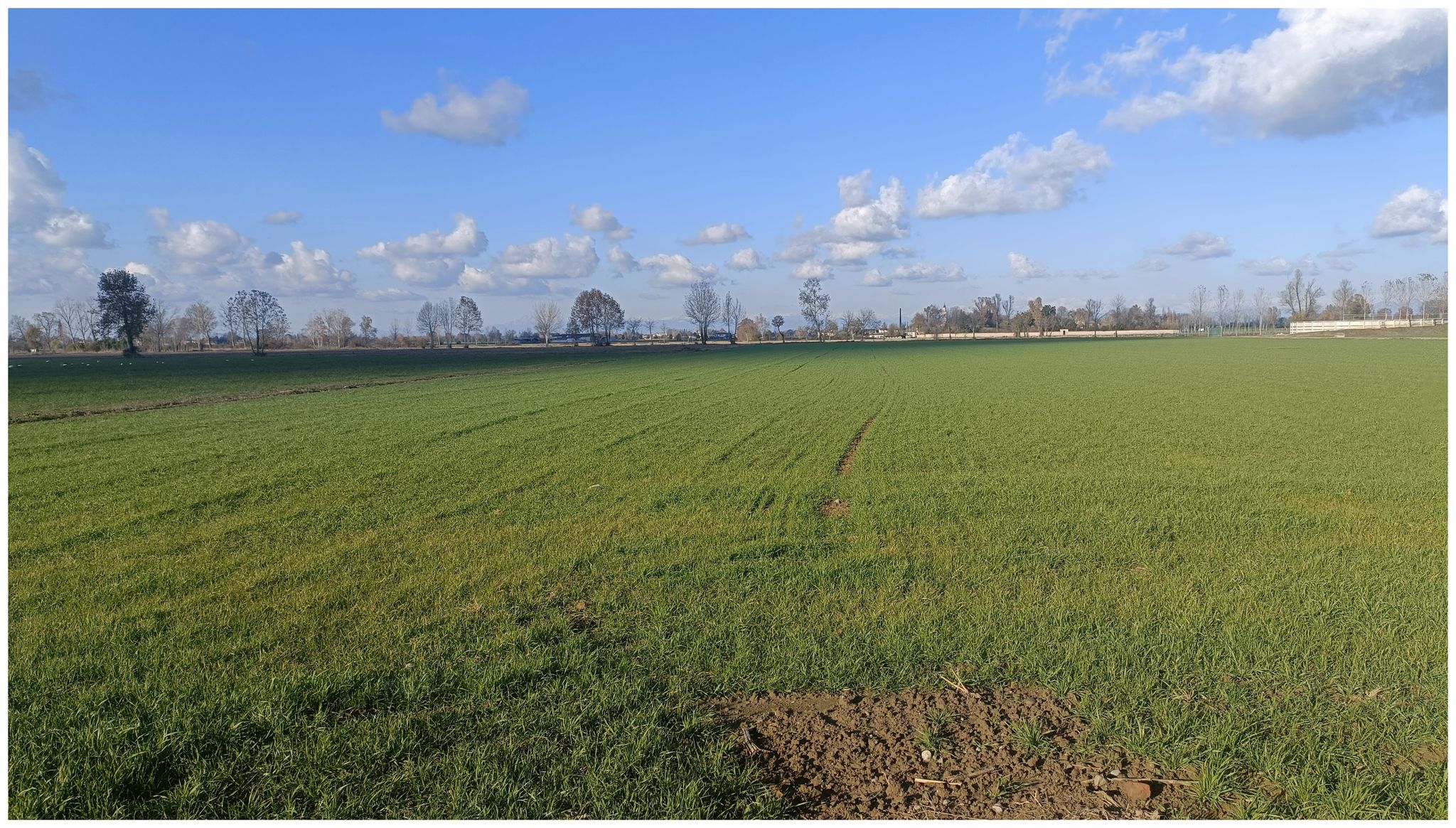Campagna dietro casa