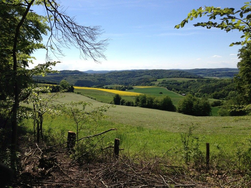 Blick nach Weißenborn