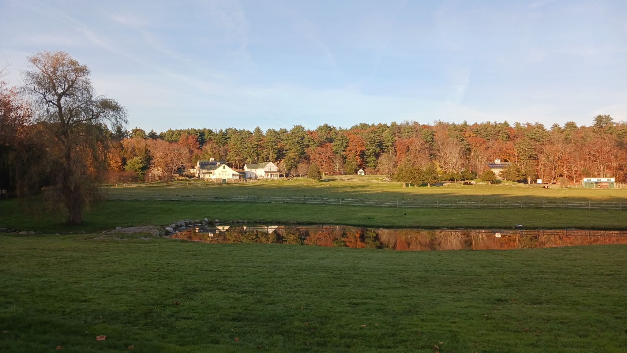 Grassy field with a pond reflecting trees, houses, and autumn foliage. - Essex River – Essex Town Hall and Library loop from Warren Reservation