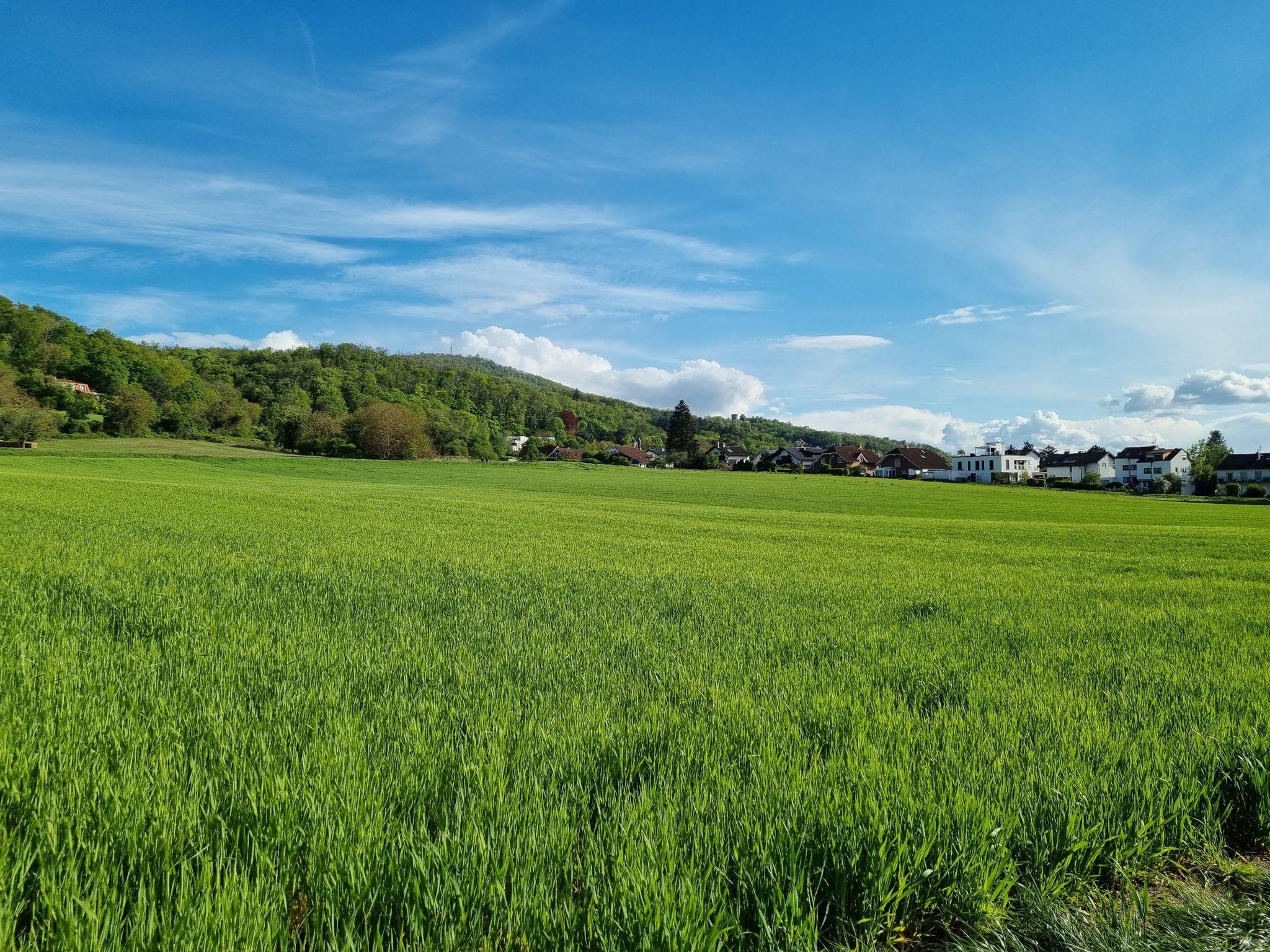 Melibokus und Alsbacher Schloß