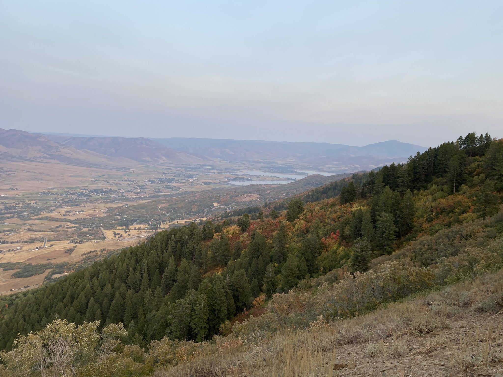 Hazy view of a forested mountain slope with autumn colors overlooking a valley. - Eyrie Peak loop from Skyline South Trail