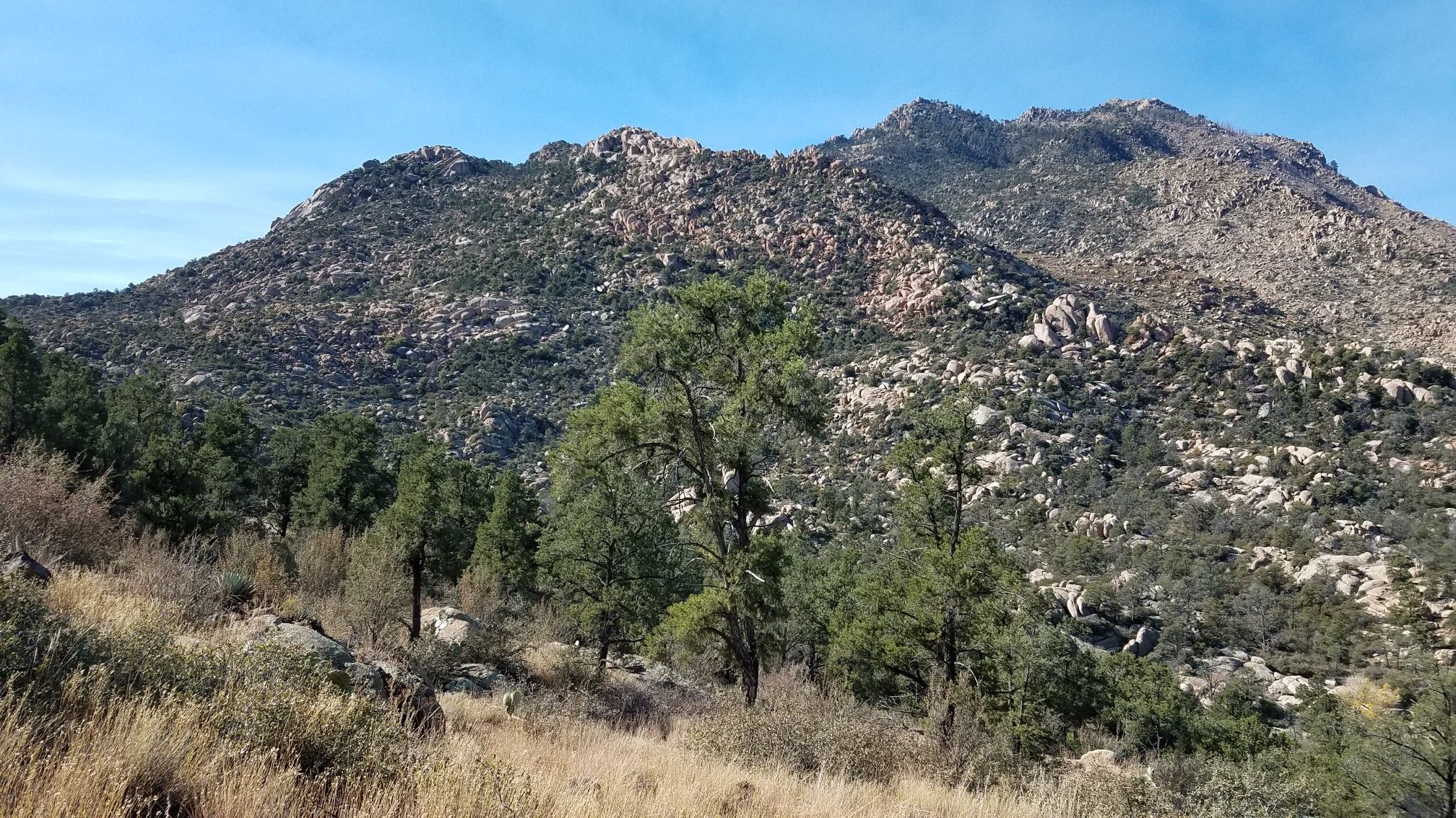 Rugged, rocky mountain covered in sparse trees under a clear blue sky. - Mint Wash and Mint Wash Overlook Loop