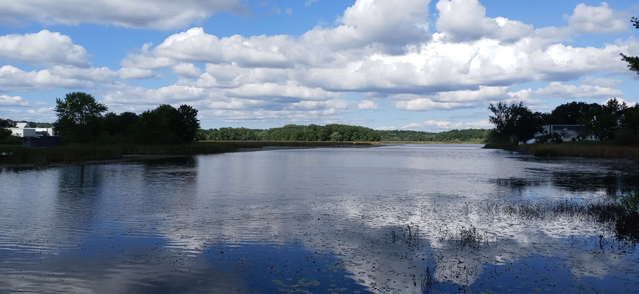 Wide lake reflecting a bright blue sky with fluffy white clouds. - Upper Charles Trail