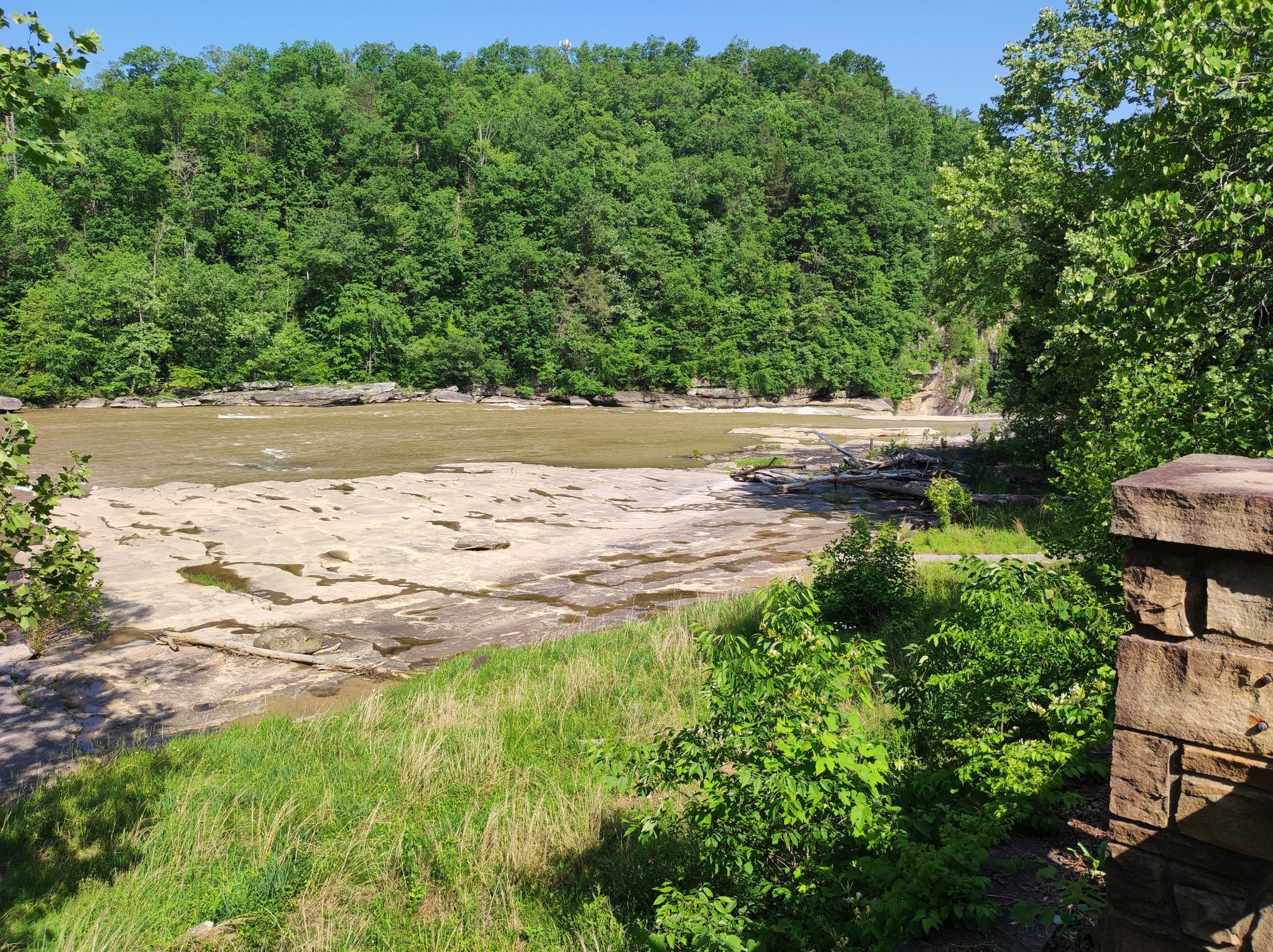 Wide river with rocky banks, dense green forest under bright sun. - Sheltowee Trace Trail to Dog Slaughter Falls