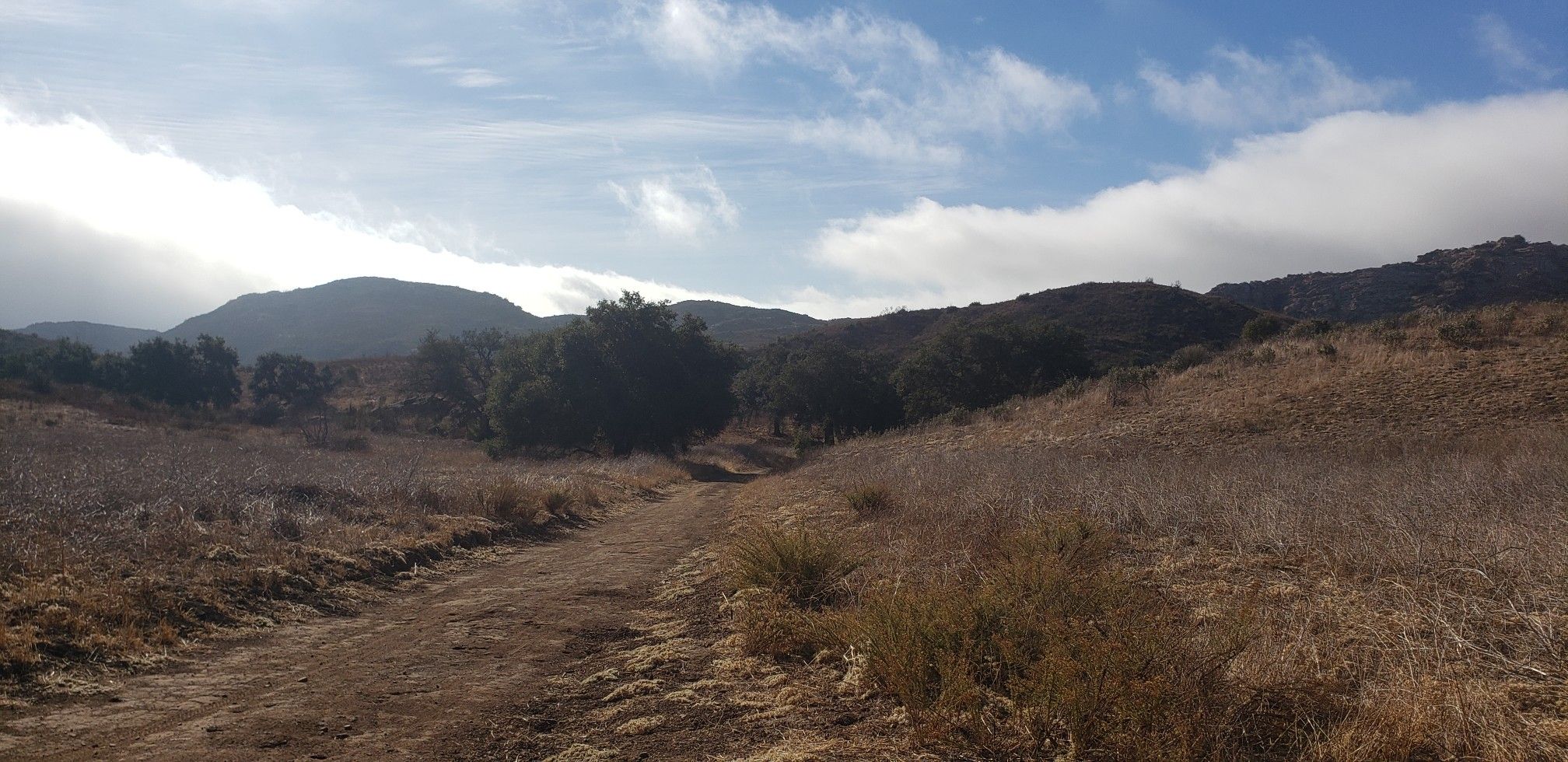 A dirt path through dry grass and scattered trees under a cloudy sky. - Albertson Motorway – China Flat plateau loop from Simi Valley