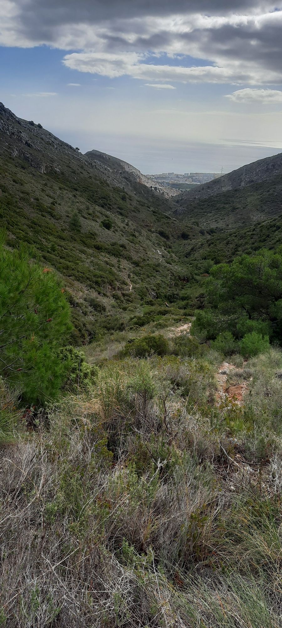 Torremolinos abajo, al fondo 